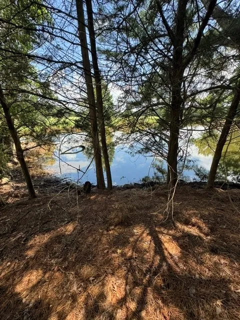 Unimproved Land For Sale in Wood County , 2852 FM 312, Winnsboro, Texas 75494, 0, 0, Garage spaces, 0 Sqft, built in 0, mls#21244511, Real Estate Agent in Winnsboro, Homes For Sale in Wood county, Homes For Sale in Winnsboro, Realtor in Winnsboro Texas, Real Estate Brokerage Independent Realty Texas, Luminita Cordes Realtor