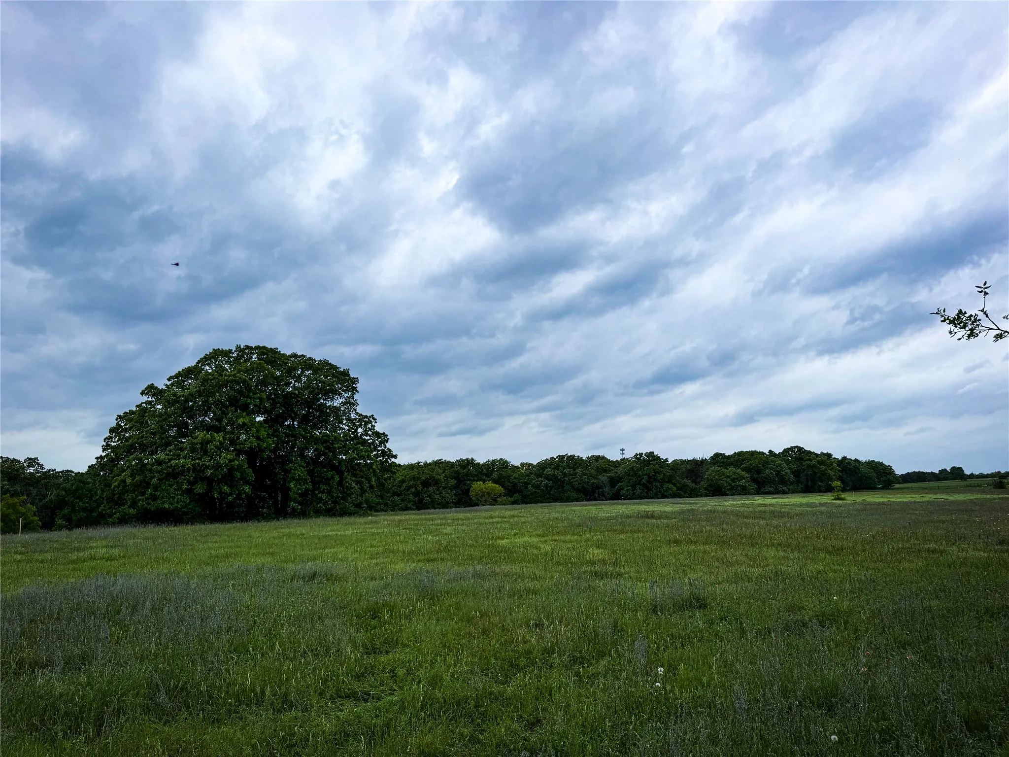 Unimproved Land For Sale in Parker County , 201 Campbell Lane, Springtown, Texas 76082, 0, 0, Garage spaces, 0 Sqft, built in 0, mls#21246271, Real Estate Agent in Springtown, Homes For Sale in Parker county, Homes For Sale in Springtown, Realtor in Springtown Texas, Real Estate Brokerage Independent Realty Texas, Luminita Cordes Realtor