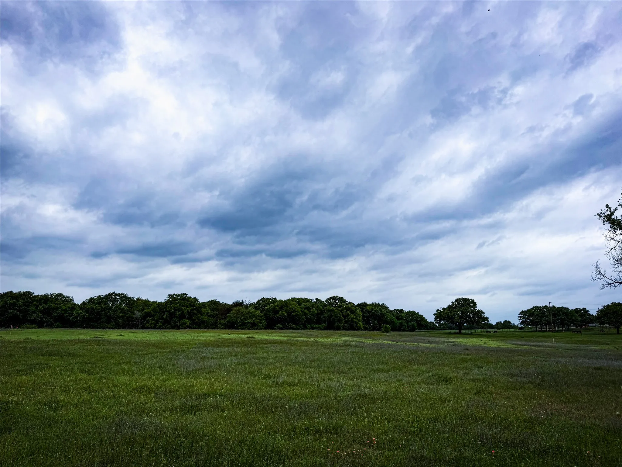 Unimproved Land For Sale in Parker County , 201 Campbell Lane, Springtown, Texas 76082, 0, 0, Garage spaces, 0 Sqft, built in 0, mls#21246271, Real Estate Agent in Springtown, Homes For Sale in Parker county, Homes For Sale in Springtown, Realtor in Springtown Texas, Real Estate Brokerage Independent Realty Texas, Luminita Cordes Realtor