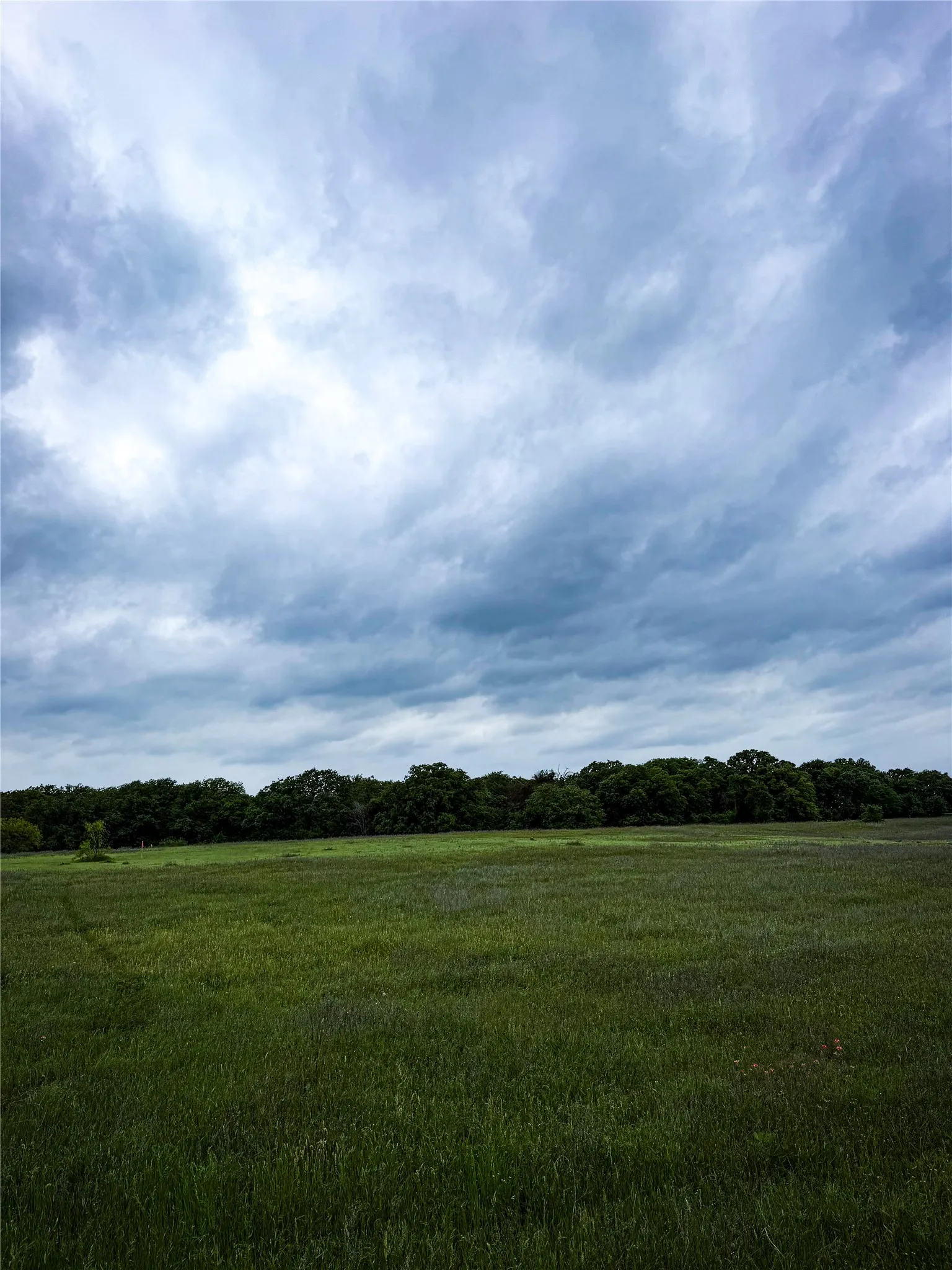 Unimproved Land For Sale in Parker County , 201 Campbell Lane, Springtown, Texas 76082, 0, 0, Garage spaces, 0 Sqft, built in 0, mls#21246271, Real Estate Agent in Springtown, Homes For Sale in Parker county, Homes For Sale in Springtown, Realtor in Springtown Texas, Real Estate Brokerage Independent Realty Texas, Luminita Cordes Realtor