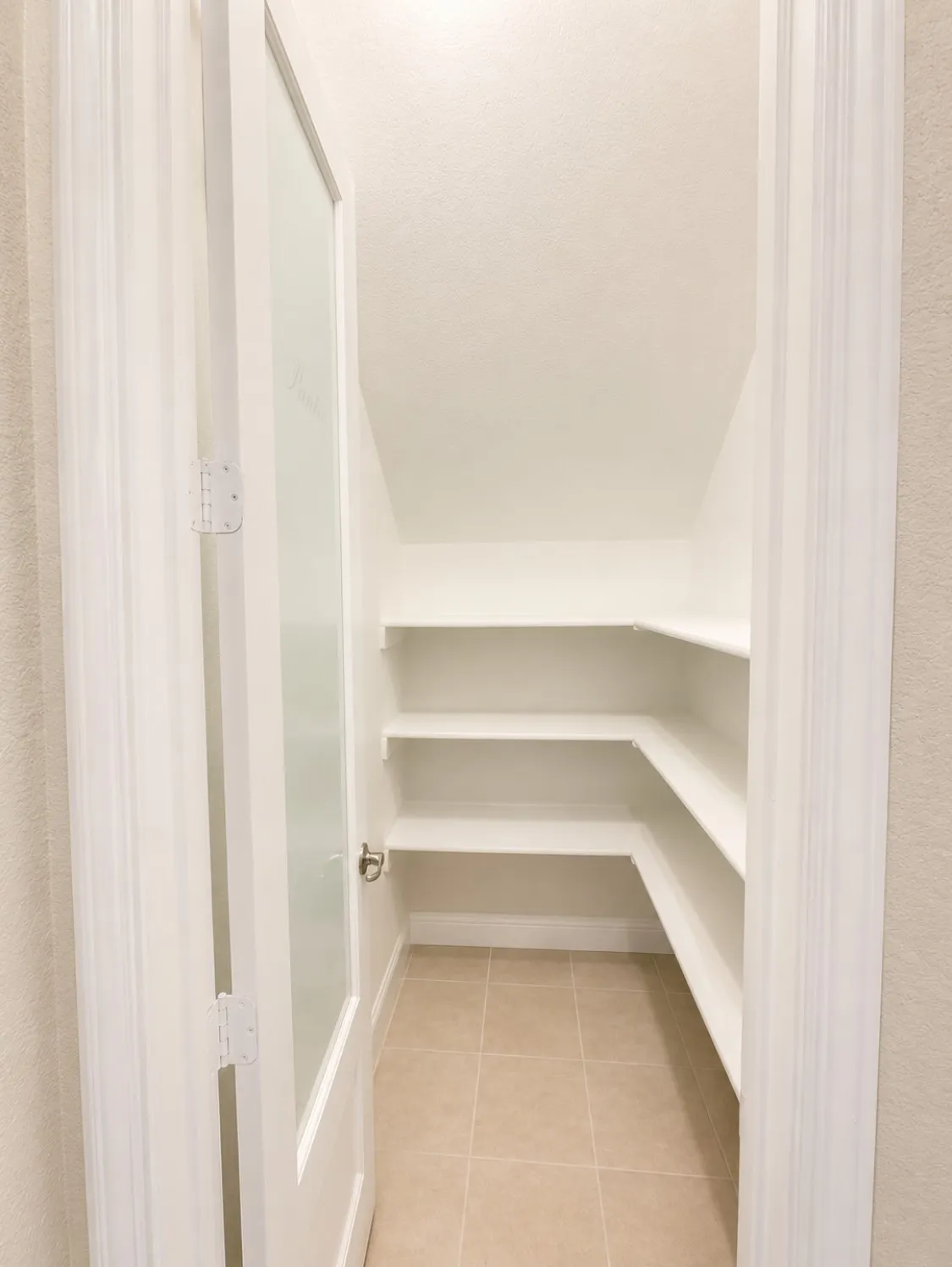Large Pantry with Glass Pantry Door
