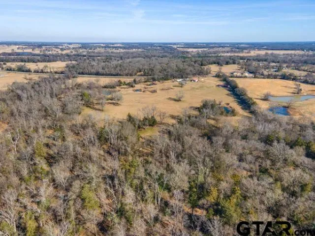 Single Family Residence For Sale in Hopkins County , 16376 Texas Highway 11 E, Winnsboro, Texas 75494, 4 Bedrooms, 4 Bathrooms, Garage spaces, 3,086 Sqft, built in 1962, Preowned, Price $599,000, mls#21246697, Real Estate Agent in Winnsboro, Homes For Sale in Hopkins county, Homes For Sale in Winnsboro, Realtor in Winnsboro Texas, Real Estate Brokerage Independent Realty Texas, Luminita Cordes Realtor