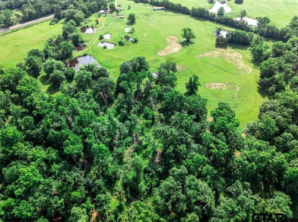 Single Family Residence For Sale in Hopkins County , 16376 Texas Highway 11 E, Winnsboro, Texas 75494, 4 Bedrooms, 4 Bathrooms, Garage spaces, 3,086 Sqft, built in 1962, Preowned, Price $599,000, mls#21246697, Real Estate Agent in Winnsboro, Homes For Sale in Hopkins county, Homes For Sale in Winnsboro, Realtor in Winnsboro Texas, Real Estate Brokerage Independent Realty Texas, Luminita Cordes Realtor