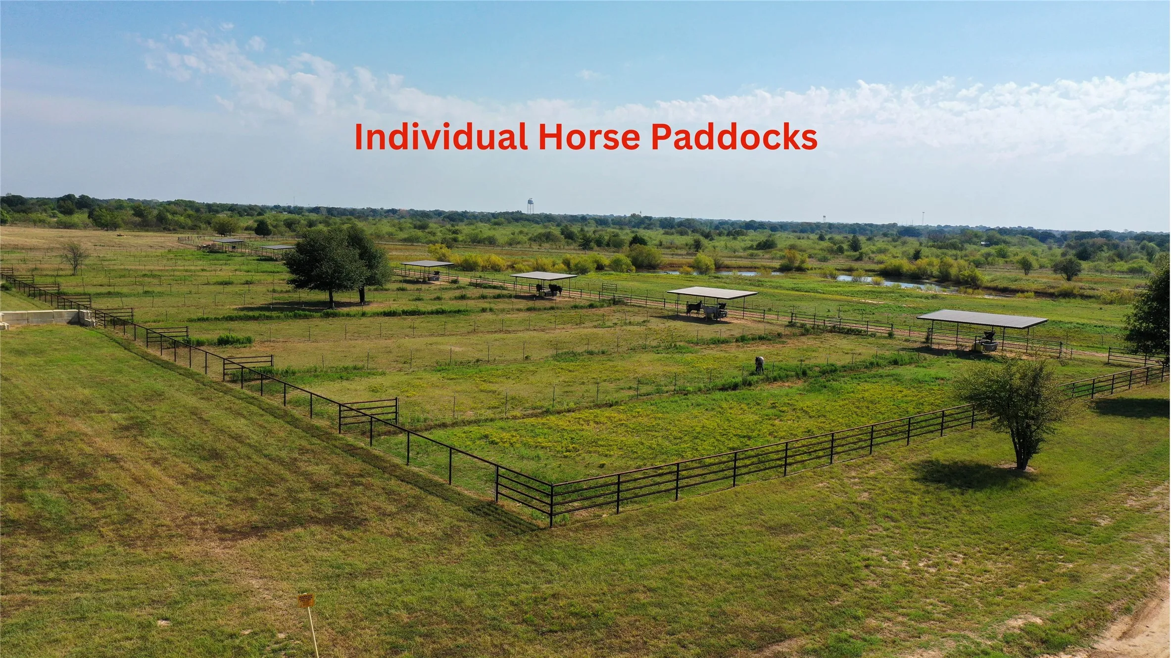 Individual Horse Paddocks