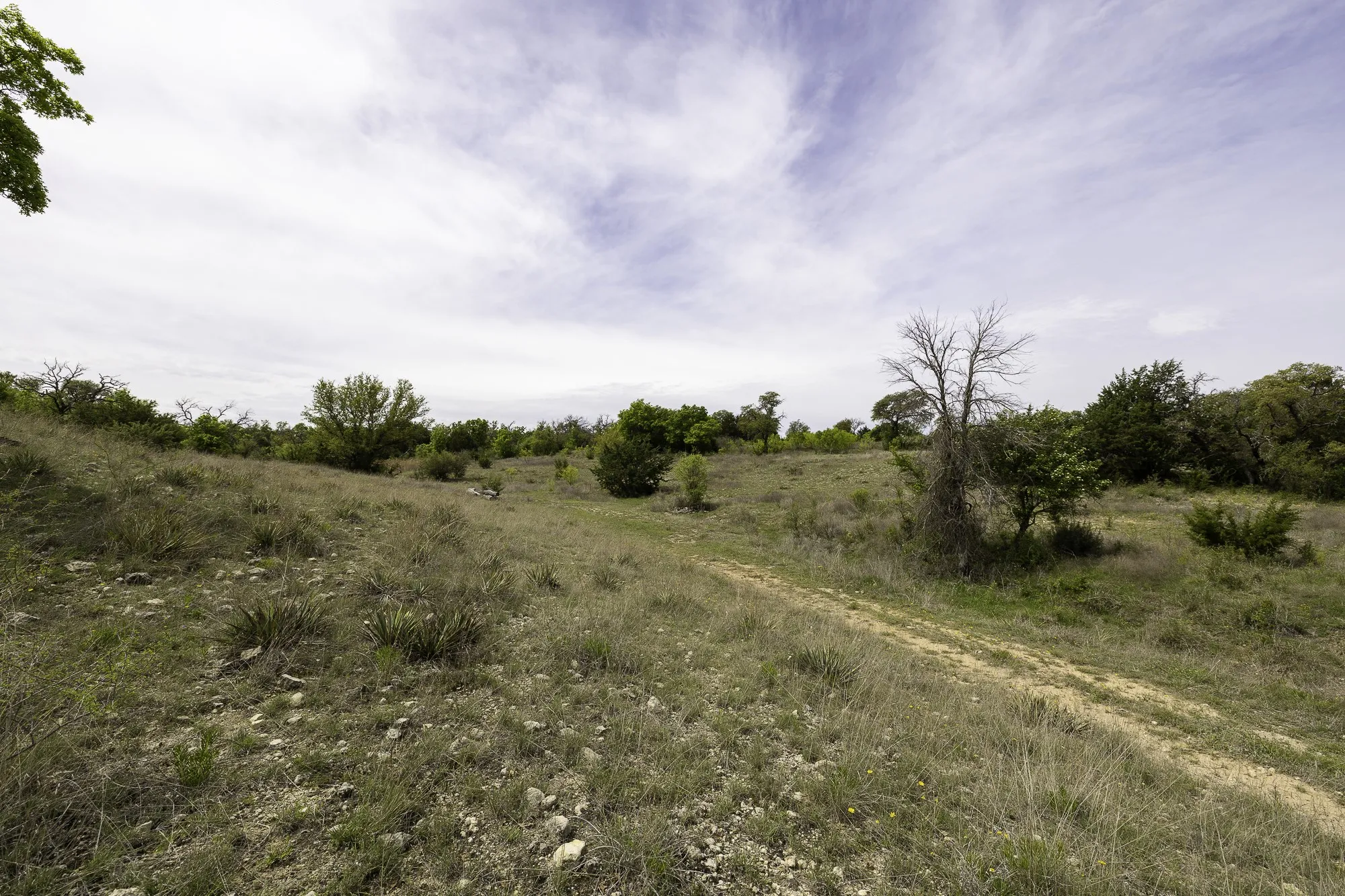 Ranch For Sale in Brown County , 525 Jack Rabbit Circle, Zephyr, Texas 76890, 0, 0, Garage spaces, 0 Sqft, built in 0, Price $525,000, mls#21246799, Real Estate Agent in Zephyr, Homes For Sale in Brown county, Homes For Sale in Zephyr, Realtor in Zephyr Texas, Real Estate Brokerage Independent Realty Texas, Luminita Cordes Realtor