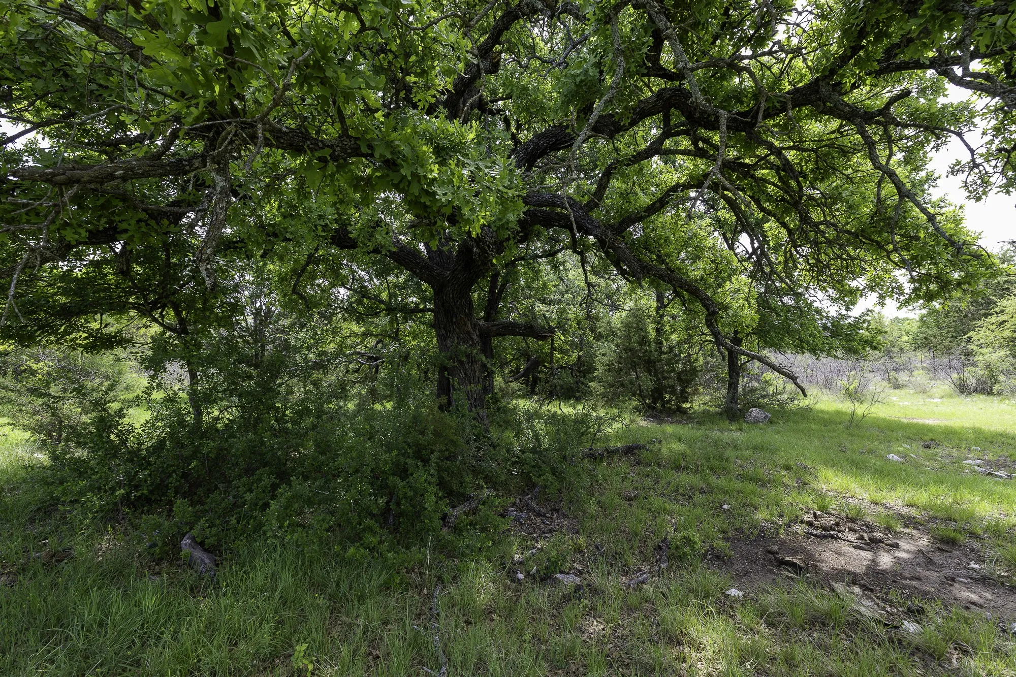 Ranch For Sale in Brown County , 525 Jack Rabbit Circle, Zephyr, Texas 76890, 0, 0, Garage spaces, 0 Sqft, built in 0, Price $525,000, mls#21246799, Real Estate Agent in Zephyr, Homes For Sale in Brown county, Homes For Sale in Zephyr, Realtor in Zephyr Texas, Real Estate Brokerage Independent Realty Texas, Luminita Cordes Realtor