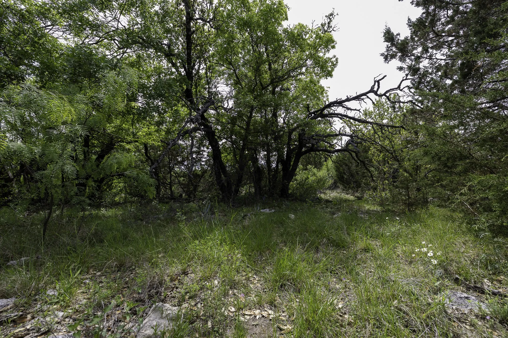 Ranch For Sale in Brown County , 525 Jack Rabbit Circle, Zephyr, Texas 76890, 0, 0, Garage spaces, 0 Sqft, built in 0, Price $525,000, mls#21246799, Real Estate Agent in Zephyr, Homes For Sale in Brown county, Homes For Sale in Zephyr, Realtor in Zephyr Texas, Real Estate Brokerage Independent Realty Texas, Luminita Cordes Realtor