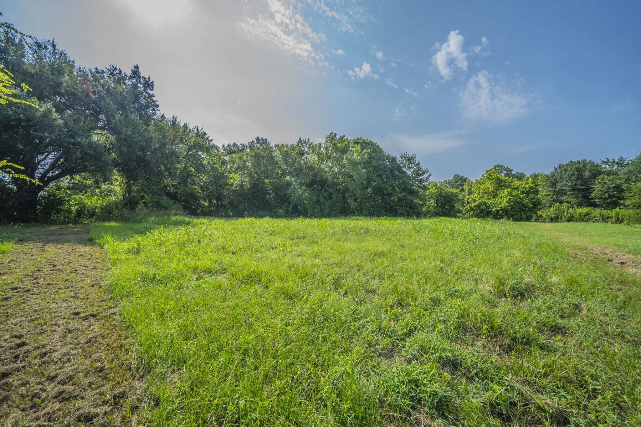 Unimproved Land For Sale in Van Zandt County , 350 Quail Street, Van, Texas 75790, 0, 0, Garage spaces, 0 Sqft, built in 0, mls#21246759, Real Estate Agent in Van, Homes For Sale in Van Zandt county, Homes For Sale in Van, Realtor in Van Texas, Real Estate Brokerage Independent Realty Texas, Luminita Cordes Realtor