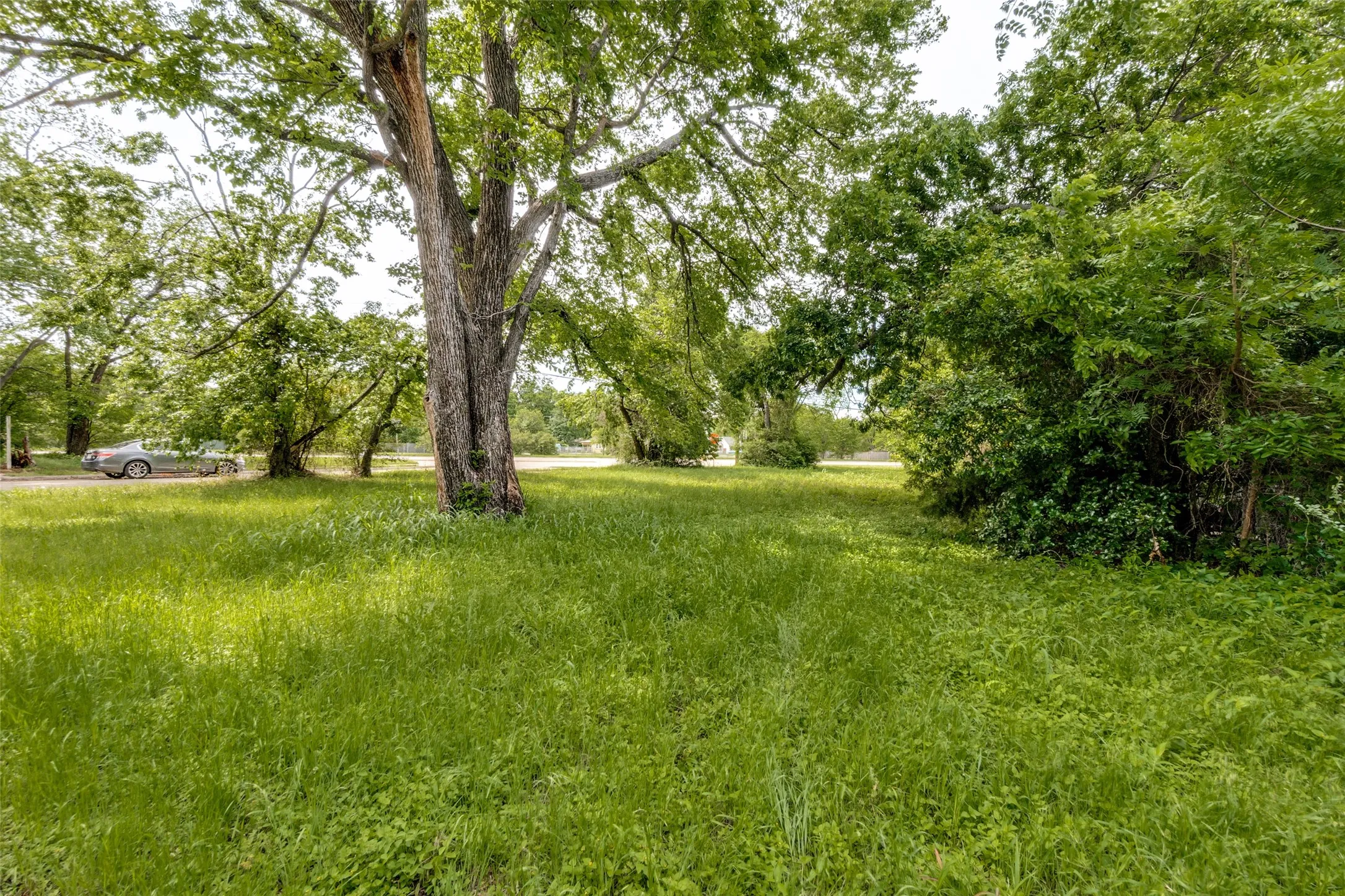 Unimproved Land For Sale in Dallas County , 3711 Carpenter Avenue, Dallas, Texas 75210, 0, 0, Garage spaces, 0 Sqft, built in 0, Price $114,500, mls#21246861, Real Estate Agent in Dallas, Homes For Sale in Dallas county, Homes For Sale in Dallas, Realtor in Dallas Texas, Real Estate Brokerage Independent Realty Texas, Luminita Cordes Realtor