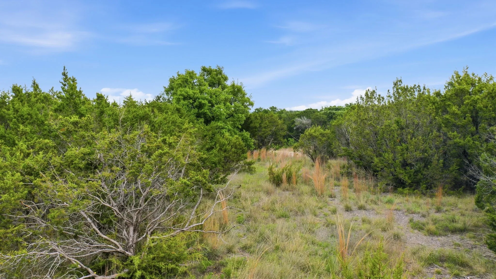 Unimproved Land For Sale in Erath County , TBD Mesa Vista Dr Lot 118, Stephenville, Texas 76401, 0, 0, Garage spaces, 0 Sqft, built in 0, mls#21244950, Real Estate Agent in Stephenville, Homes For Sale in Erath county, Homes For Sale in Stephenville, Realtor in Stephenville Texas, Real Estate Brokerage Independent Realty Texas, Luminita Cordes Realtor