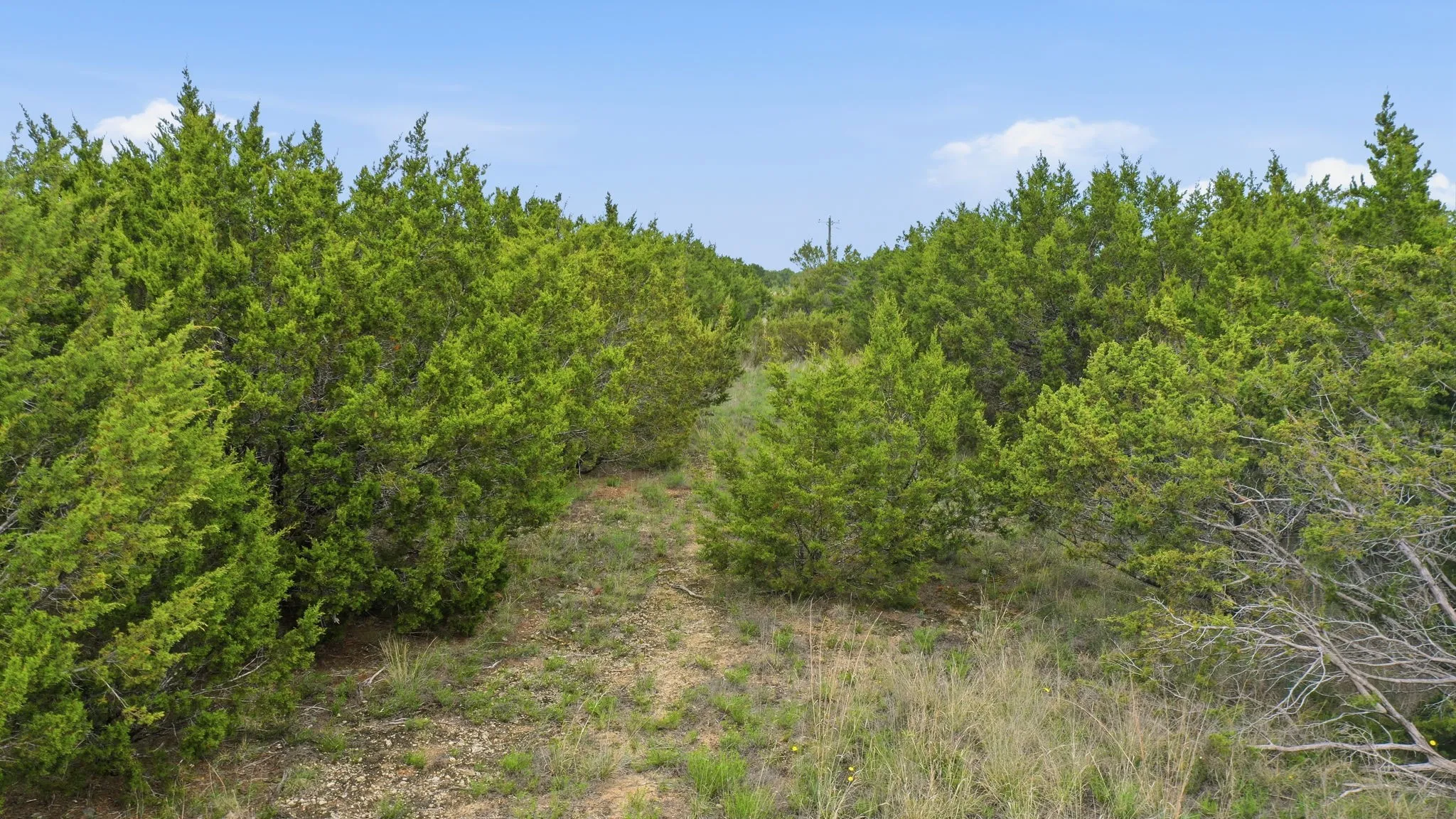 Unimproved Land For Sale in Erath County , TBD Mesa Vista Dr Lot 118, Stephenville, Texas 76401, 0, 0, Garage spaces, 0 Sqft, built in 0, mls#21244950, Real Estate Agent in Stephenville, Homes For Sale in Erath county, Homes For Sale in Stephenville, Realtor in Stephenville Texas, Real Estate Brokerage Independent Realty Texas, Luminita Cordes Realtor