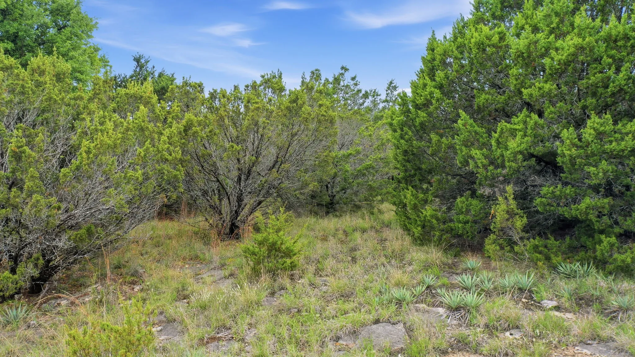 Unimproved Land For Sale in Erath County , TBD Mesa Vista Dr Lot 118, Stephenville, Texas 76401, 0, 0, Garage spaces, 0 Sqft, built in 0, mls#21244950, Real Estate Agent in Stephenville, Homes For Sale in Erath county, Homes For Sale in Stephenville, Realtor in Stephenville Texas, Real Estate Brokerage Independent Realty Texas, Luminita Cordes Realtor