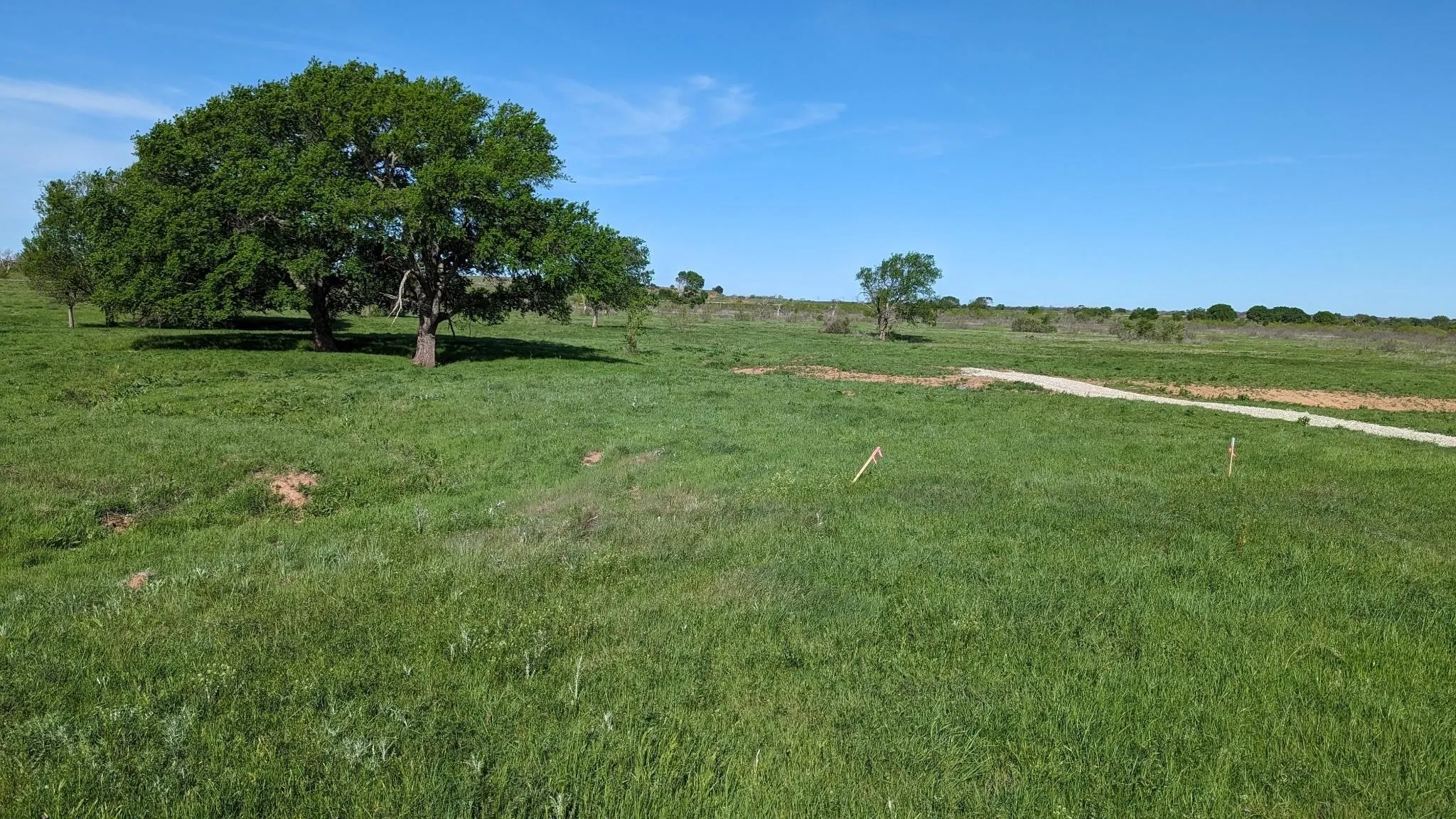 Unimproved Land For Sale in Montague County , Lot 30 High Plains Trail, Bellevue, Texas 76228, 0, 0, Garage spaces, 0 Sqft, built in 0, Price $134,900, mls#21245105, Real Estate Agent in Bellevue, Homes For Sale in Montague county, Homes For Sale in Bellevue, Realtor in Bellevue Texas, Real Estate Brokerage Independent Realty Texas, Luminita Cordes Realtor