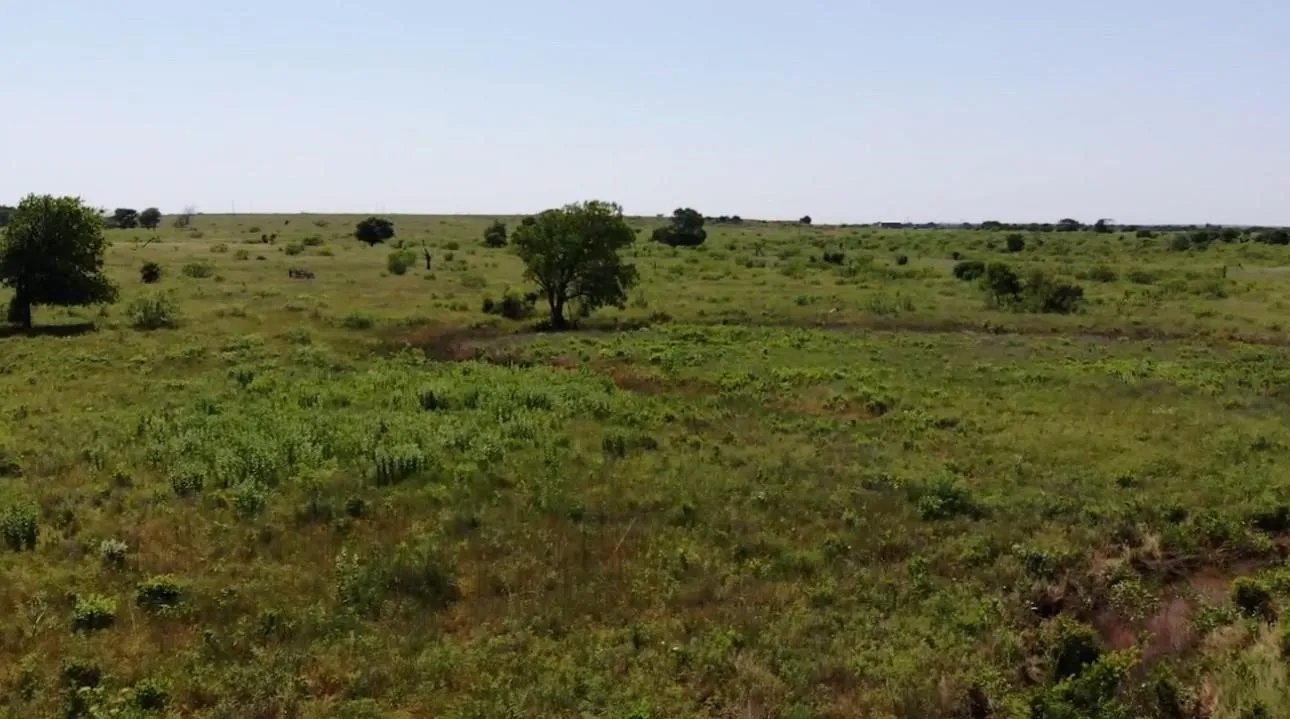 Unimproved Land For Sale in Montague County , Lot 30 High Plains Trail, Bellevue, Texas 76228, 0, 0, Garage spaces, 0 Sqft, built in 0, Price $134,900, mls#21245105, Real Estate Agent in Bellevue, Homes For Sale in Montague county, Homes For Sale in Bellevue, Realtor in Bellevue Texas, Real Estate Brokerage Independent Realty Texas, Luminita Cordes Realtor