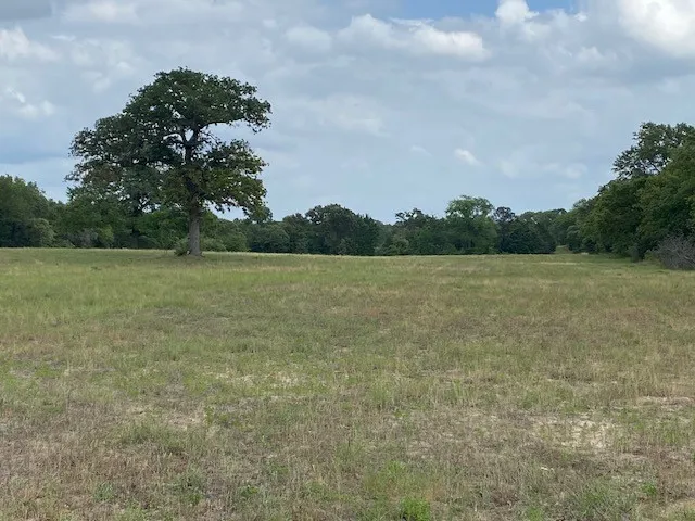 Single Family Residence For Sale in Henderson County , 7601 CR 3700, Murchison, Texas 75778, 3 Bedroom, 3 Bathroom, Garage spaces, 1,776 Sqft, built in 2008, Preowned, mls#21245281, Real Estate Agent in Murchison, Homes For Sale in Henderson county, Homes For Sale in Murchison, Realtor in Murchison Texas, Real Estate Brokerage Independent Realty Texas, Luminita Cordes Realtor