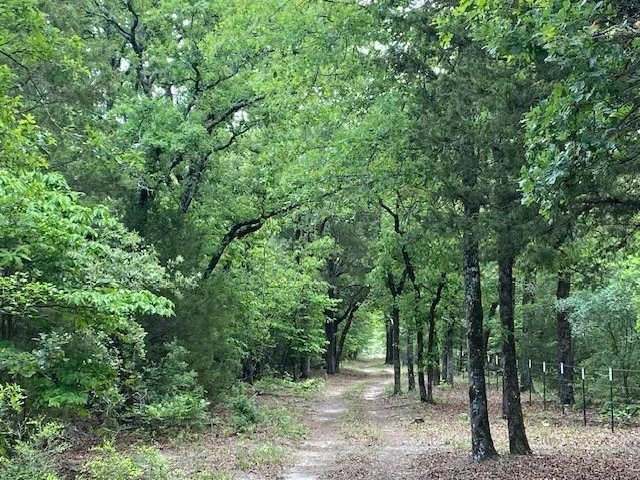 Single Family Residence For Sale in Henderson County , 7601 CR 3700, Murchison, Texas 75778, 3 Bedroom, 3 Bathroom, Garage spaces, 1,776 Sqft, built in 2008, Preowned, mls#21245281, Real Estate Agent in Murchison, Homes For Sale in Henderson county, Homes For Sale in Murchison, Realtor in Murchison Texas, Real Estate Brokerage Independent Realty Texas, Luminita Cordes Realtor