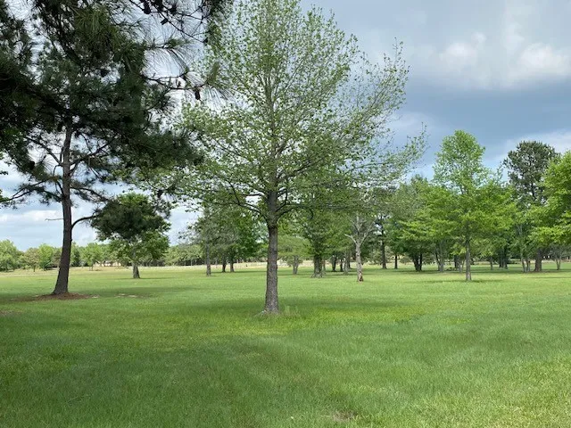 Single Family Residence For Sale in Henderson County , 7601 CR 3700, Murchison, Texas 75778, 3 Bedroom, 3 Bathroom, Garage spaces, 1,776 Sqft, built in 2008, Preowned, mls#21245281, Real Estate Agent in Murchison, Homes For Sale in Henderson county, Homes For Sale in Murchison, Realtor in Murchison Texas, Real Estate Brokerage Independent Realty Texas, Luminita Cordes Realtor