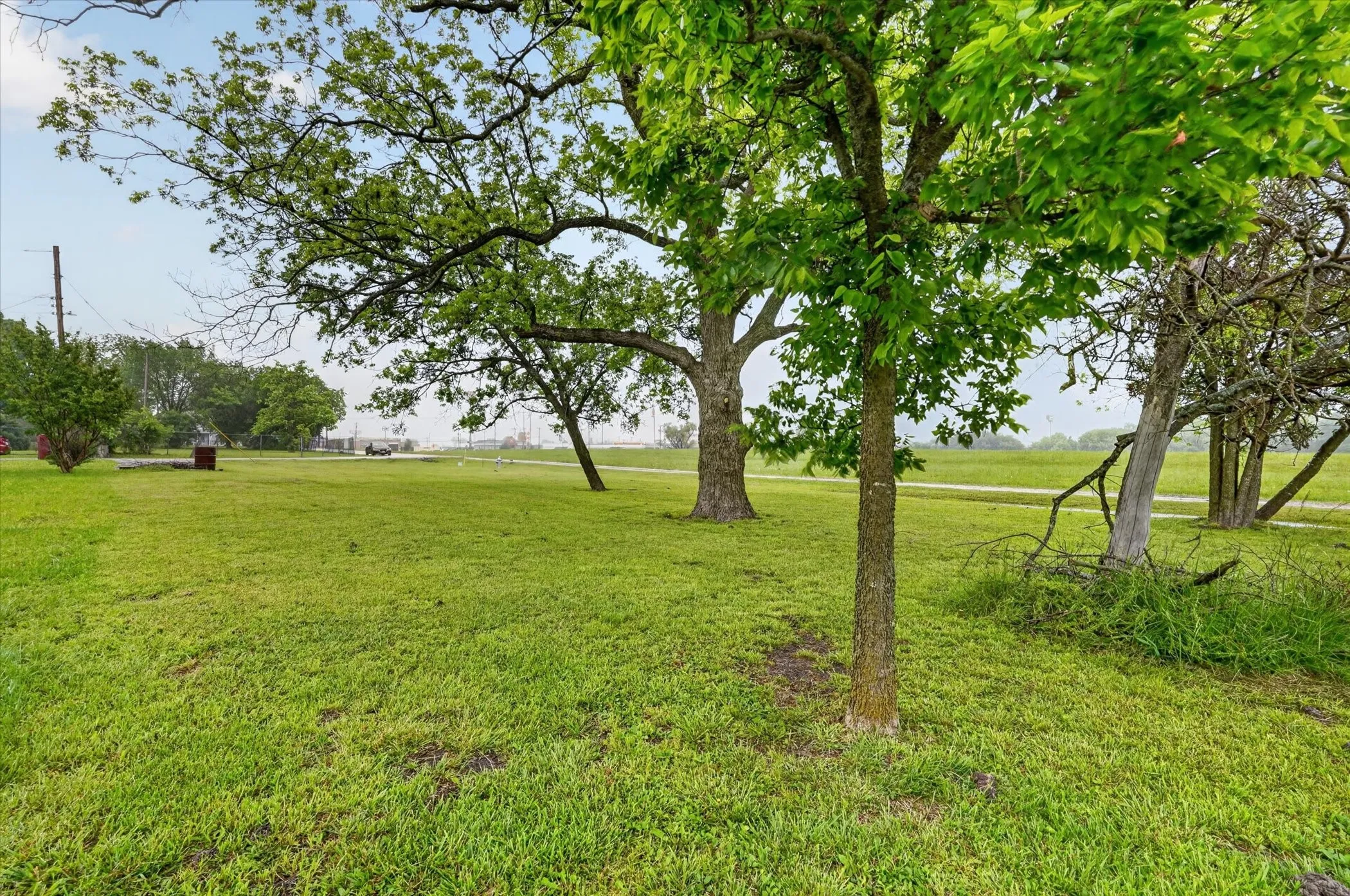 Expansive green lawn with mature trees providing natural shading
