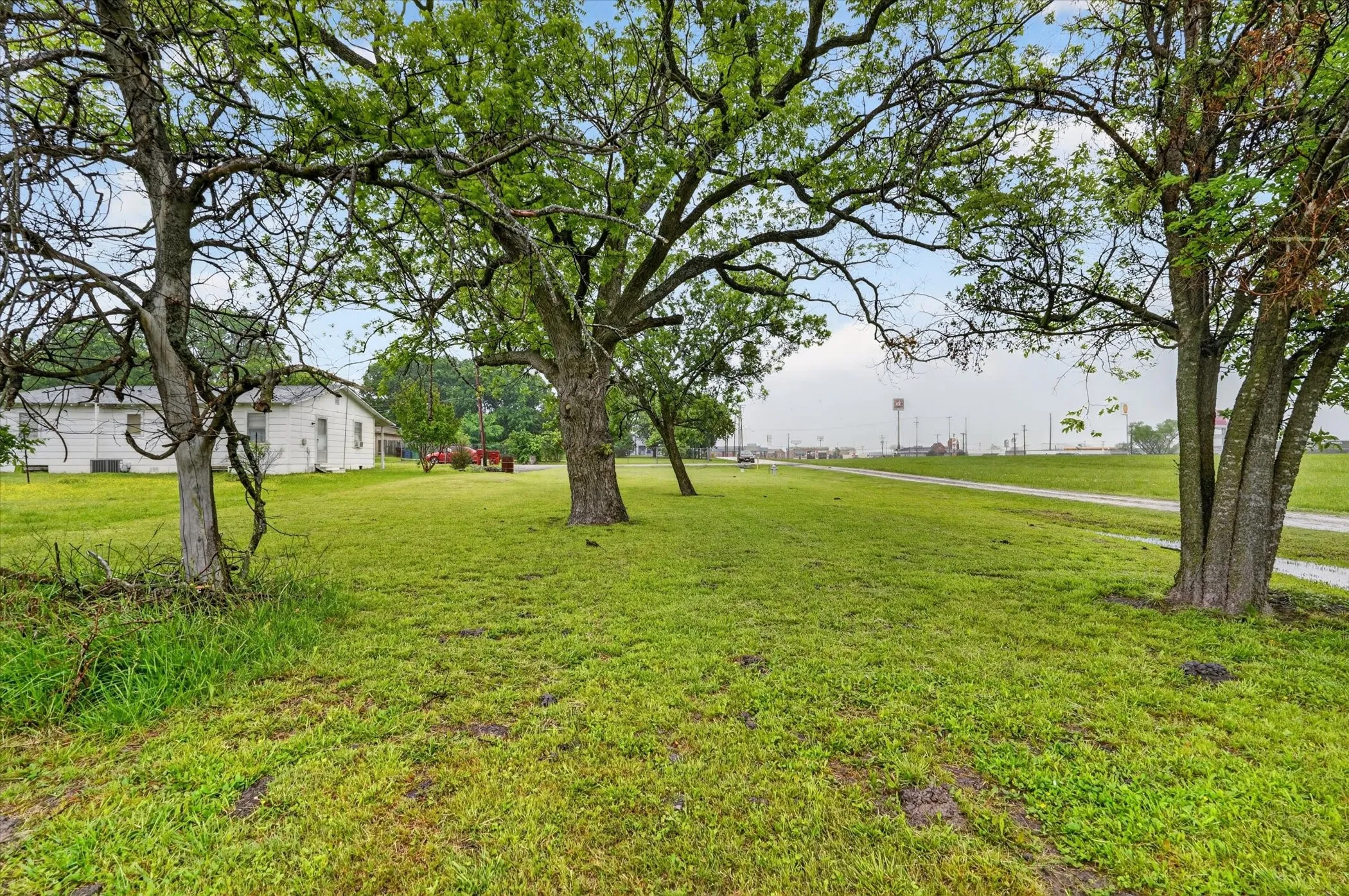 Expansive green lawn with mature trees and a white single-story residence