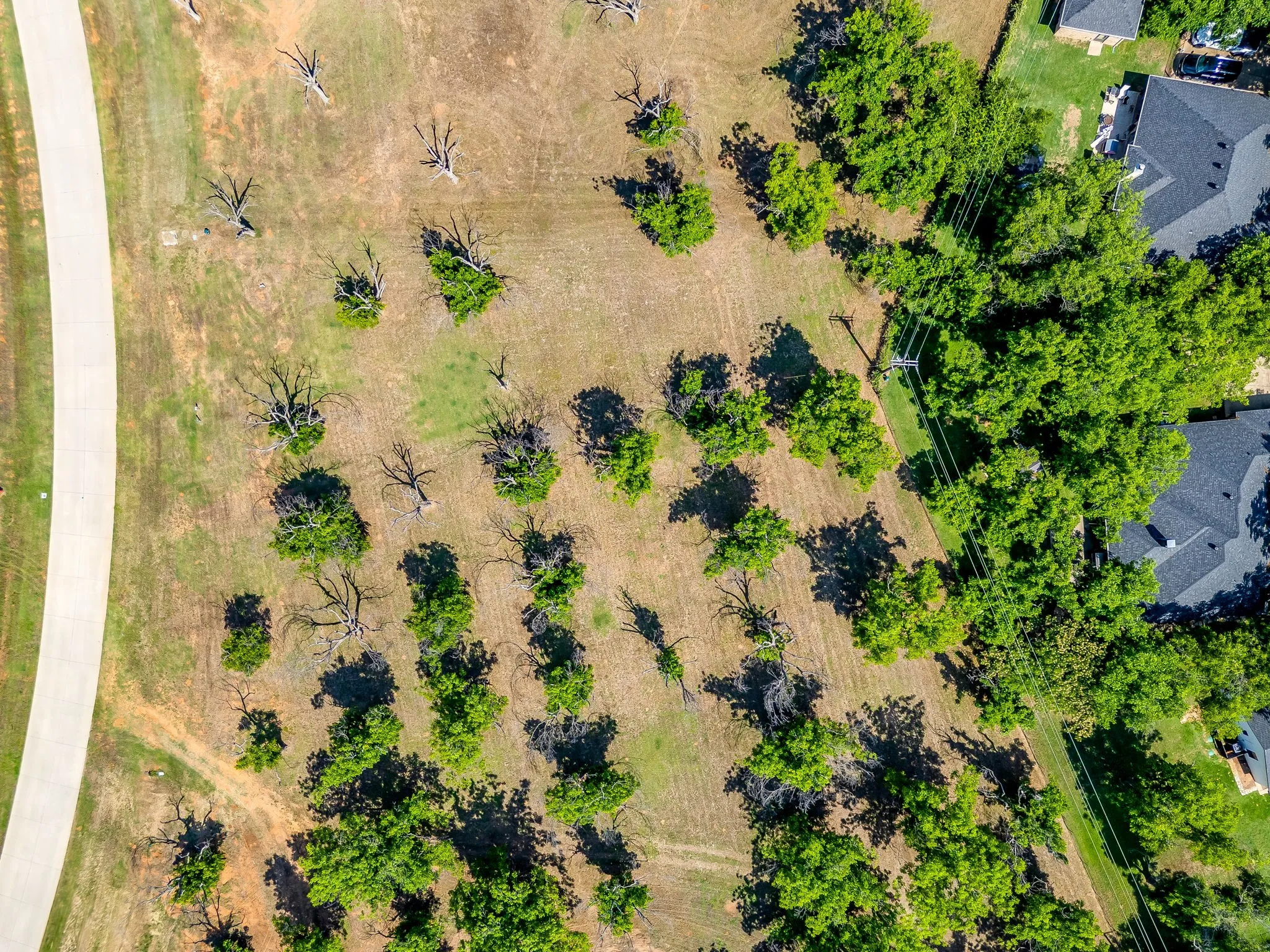 Improved Land For Sale in Hood County , 8421 W Landings Road, Granbury, Texas 76049, 0, 0, Garage spaces, 0 Sqft, built in 0, mls#21226541, Real Estate Agent in Granbury, Homes For Sale in Hood county, Homes For Sale in Granbury, Realtor in Granbury Texas, Real Estate Brokerage Independent Realty Texas, Luminita Cordes Realtor