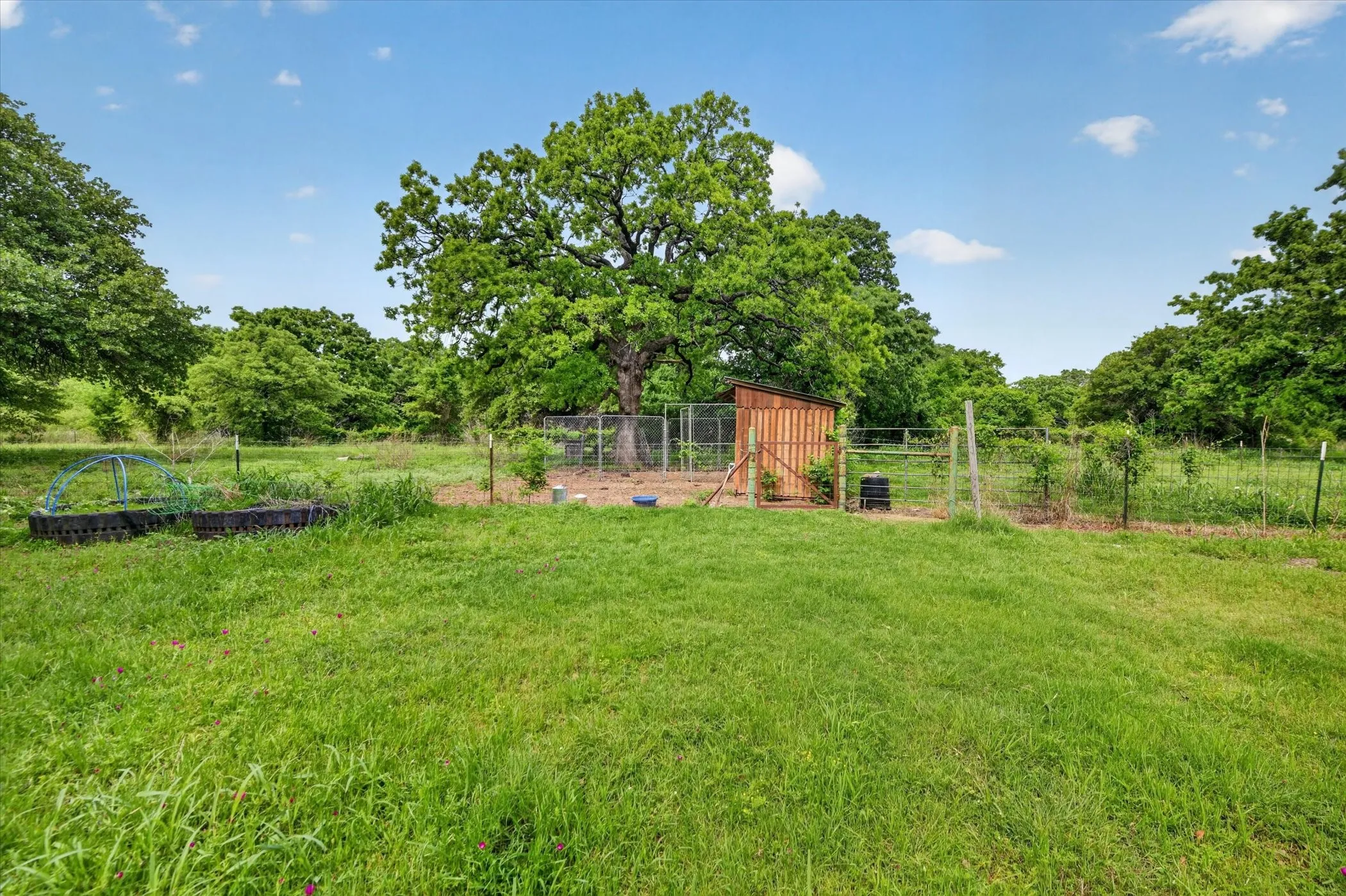 Single Family Residence For Sale in Wise County , 1276 County Road 1480, Alvord, Texas 76225, 3 Bedroom, 2 Bathroom, Garage spaces, 2,388 Sqft, built in 1982, mls#21242646, Real Estate Agent in Alvord, Homes For Sale in Wise county, Homes For Sale in Alvord, Realtor in Alvord Texas, Real Estate Brokerage Independent Realty Texas, Luminita Cordes Realtor