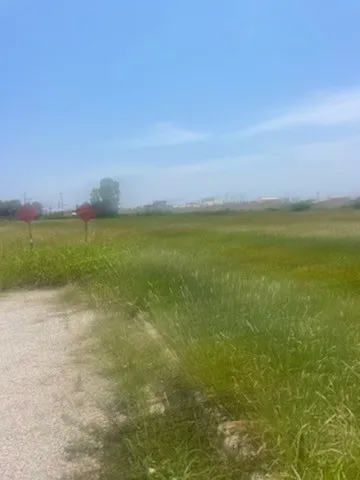 Business For Sale in Brown County , TBA Market Place Blvd, Brownwood, Texas 76801, 0, 0, Garage spaces, 0 Sqft, built in 0, Unknown, Price $920,675, mls#21246587, Real Estate Agent in Brownwood, Homes For Sale in Brown county, Homes For Sale in Brownwood, Realtor in Brownwood Texas, Real Estate Brokerage Independent Realty Texas, Luminita Cordes Realtor