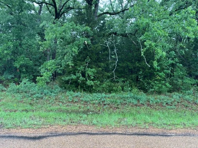 Unimproved Land For Sale in Henderson County , 111 Double Bridge Road, Mabank, Texas 75156, 0, 0, Garage spaces, 0 Sqft, built in 0, mls#21244949, Real Estate Agent in Mabank, Homes For Sale in Henderson county, Homes For Sale in Mabank, Realtor in Mabank Texas, Real Estate Brokerage Independent Realty Texas, Luminita Cordes Realtor