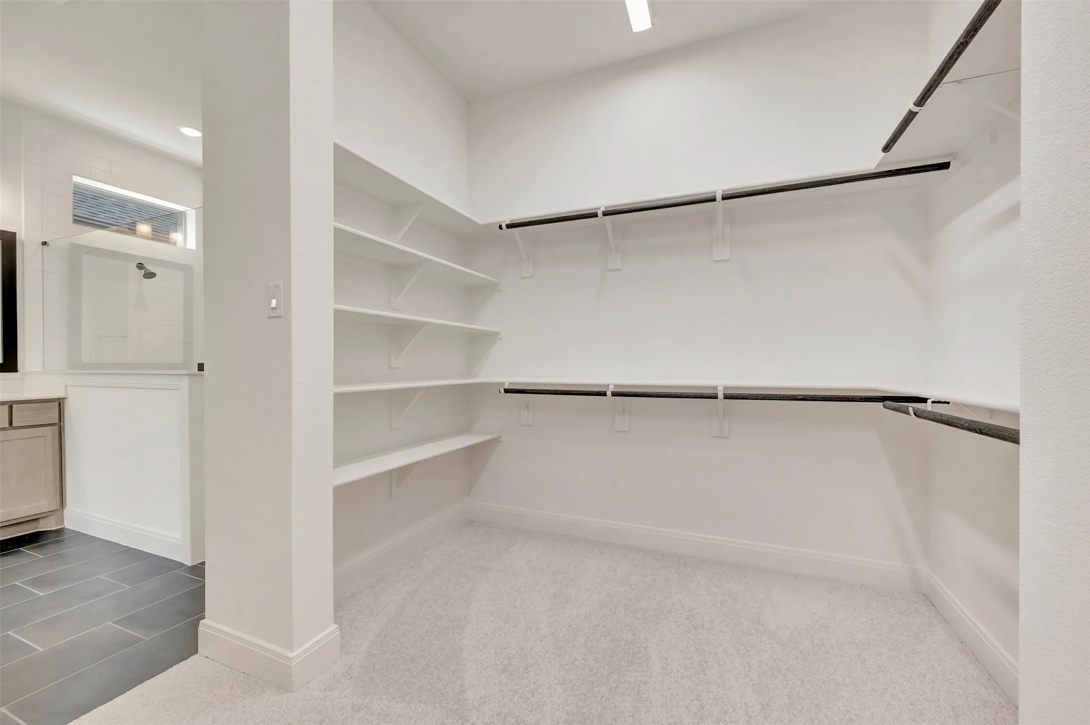 Spacious walk-in closet featuring extensive shelving, multiple hanging rods, light-toned carpeting, and integrated overhead lighting
