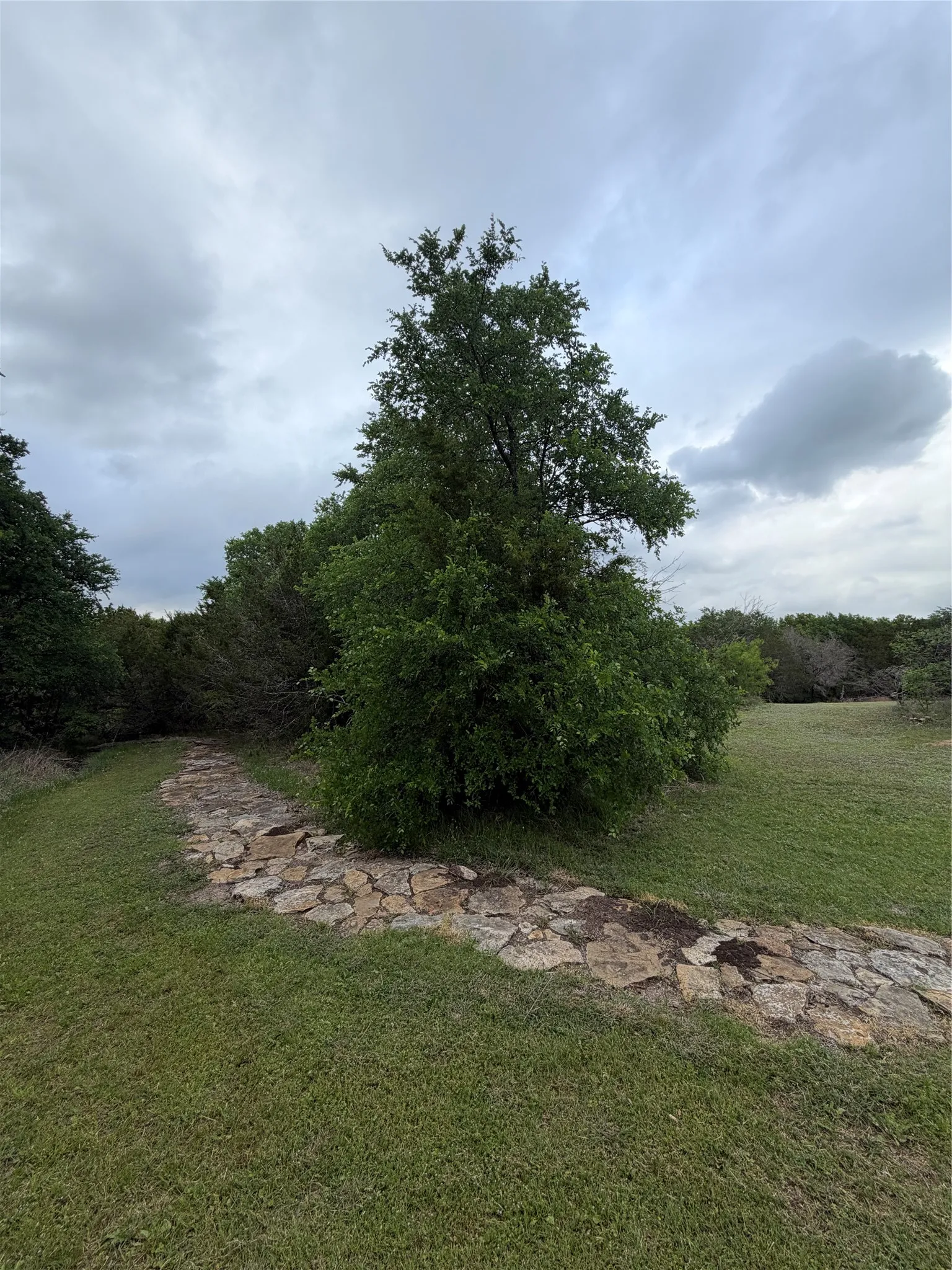Stone pathway traversing a grassy area, bordered by established trees and natural foliage leading you to the creek bed in the back!