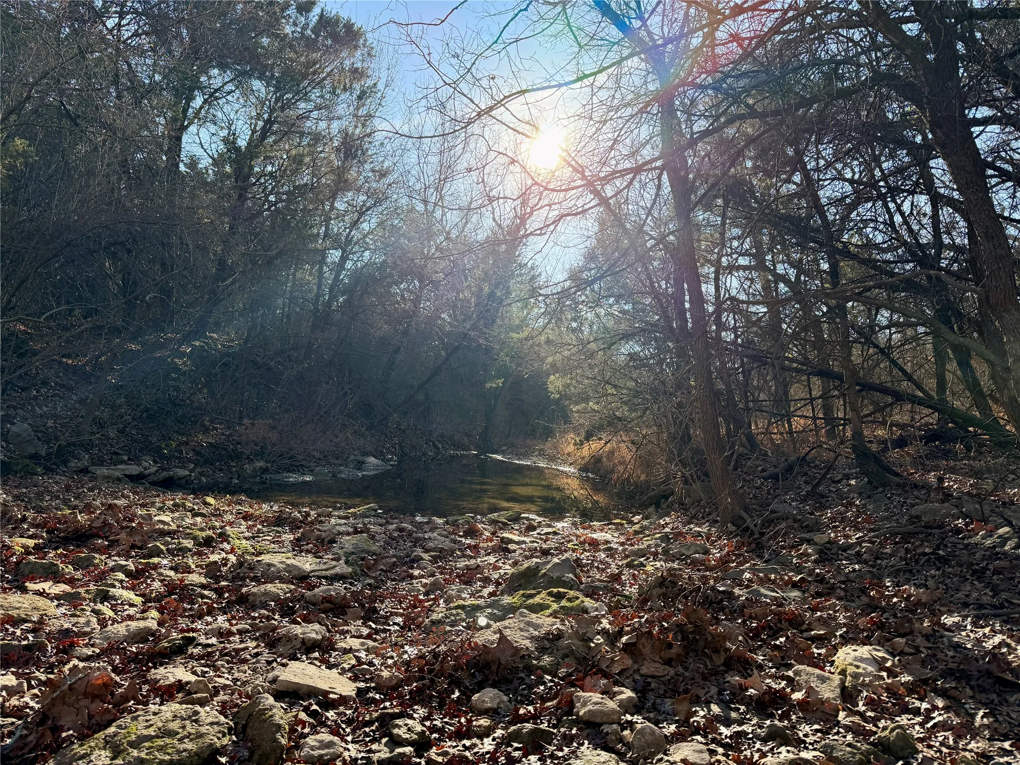 Natural wooded landscape featuring a rocky creek bed towards the back of the property and mature trees