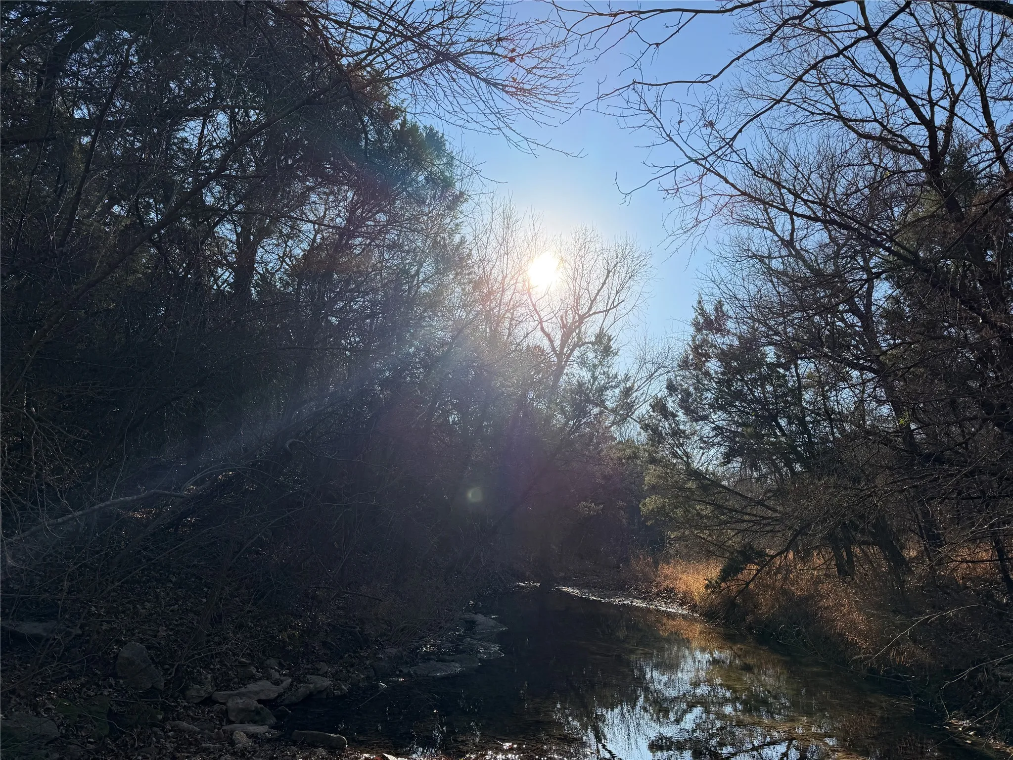 Creek in the back in the winter time