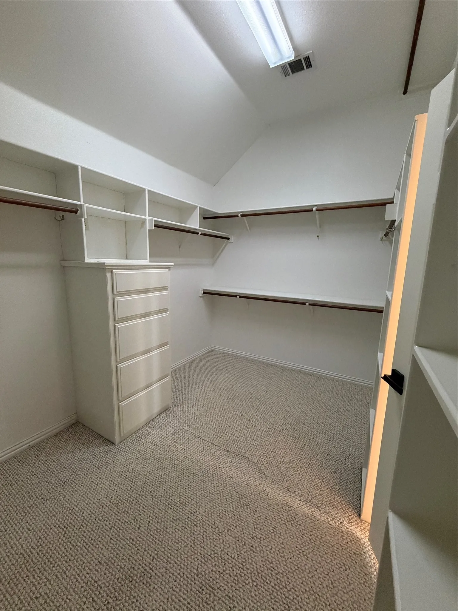Master Walk-in closet featuring built-in shelving, hanging rods, an integrated five-drawer dresser, and light-toned carpet flooring