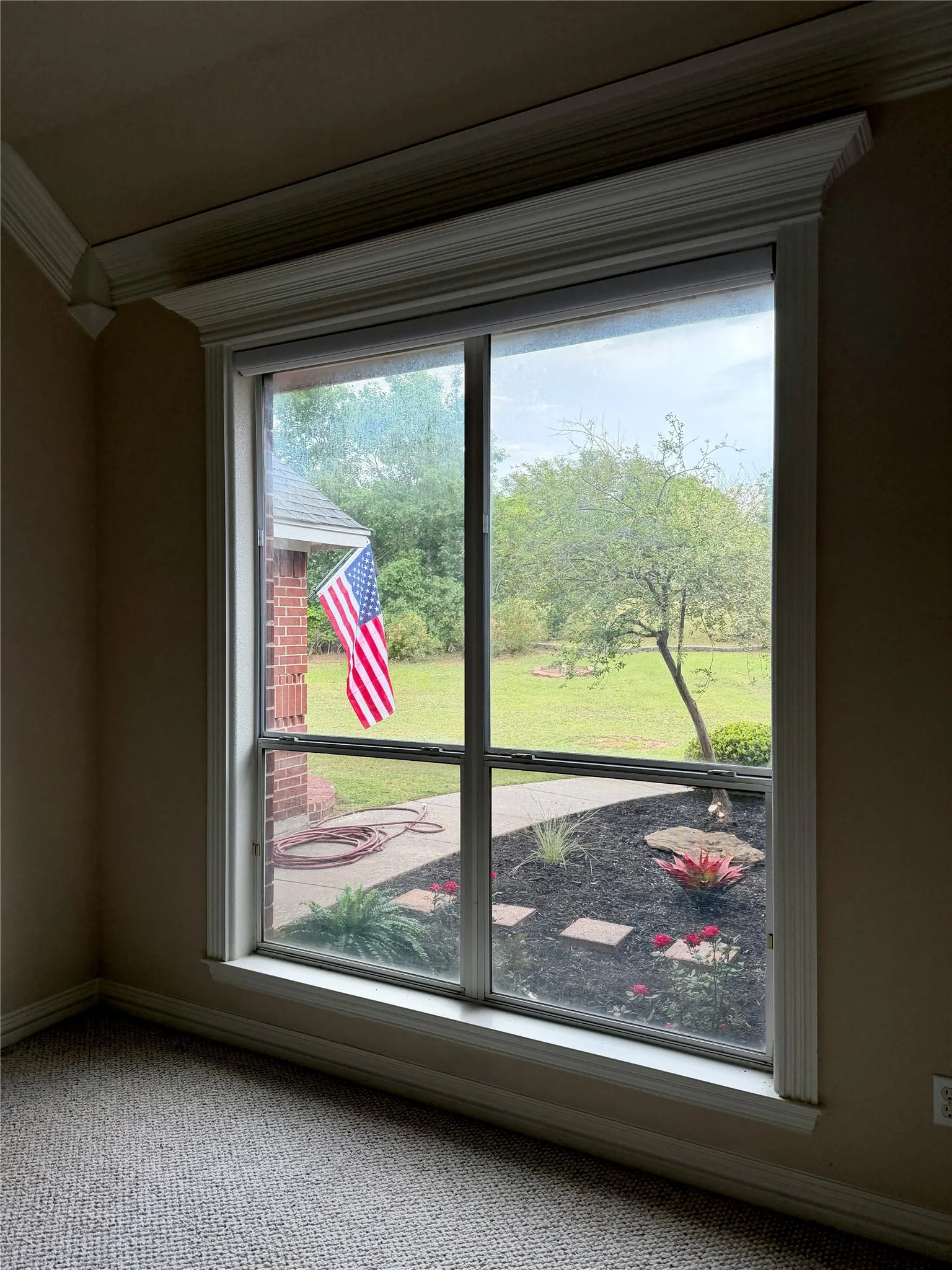 Large window with white trim, crown molding, and baseboards