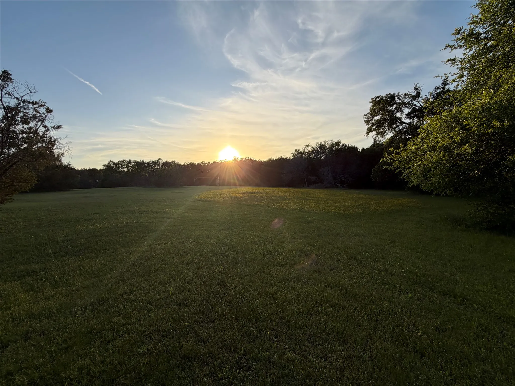 Expansive green field with mature trees bordering the perimeter
