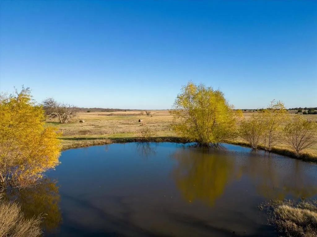 Improved Land For Sale in Hunt County , TBD CO RD 4518, Wolfe City, Texas 75496, 0, 0, Garage spaces, 0 Sqft, built in 0, mls#21247182, Real Estate Agent in Wolfe City, Homes For Sale in Hunt county, Homes For Sale in Wolfe City, Realtor in Wolfe City Texas, Real Estate Brokerage Independent Realty Texas, Luminita Cordes Realtor