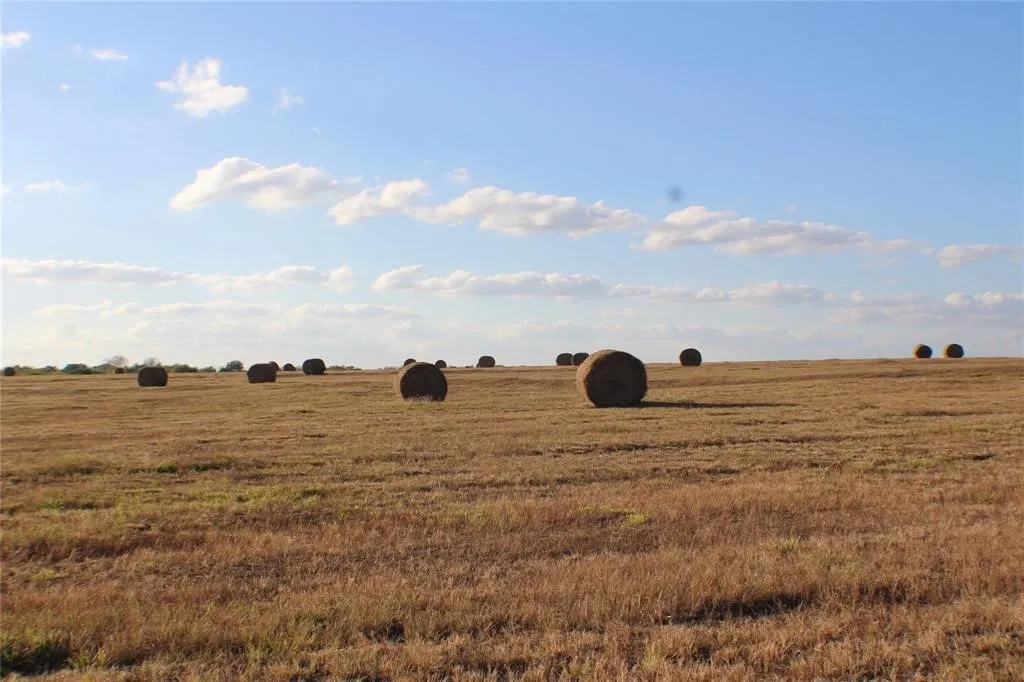 Improved Land For Sale in Hunt County , TBD CO RD 4518, Wolfe City, Texas 75496, 0, 0, Garage spaces, 0 Sqft, built in 0, mls#21247182, Real Estate Agent in Wolfe City, Homes For Sale in Hunt county, Homes For Sale in Wolfe City, Realtor in Wolfe City Texas, Real Estate Brokerage Independent Realty Texas, Luminita Cordes Realtor