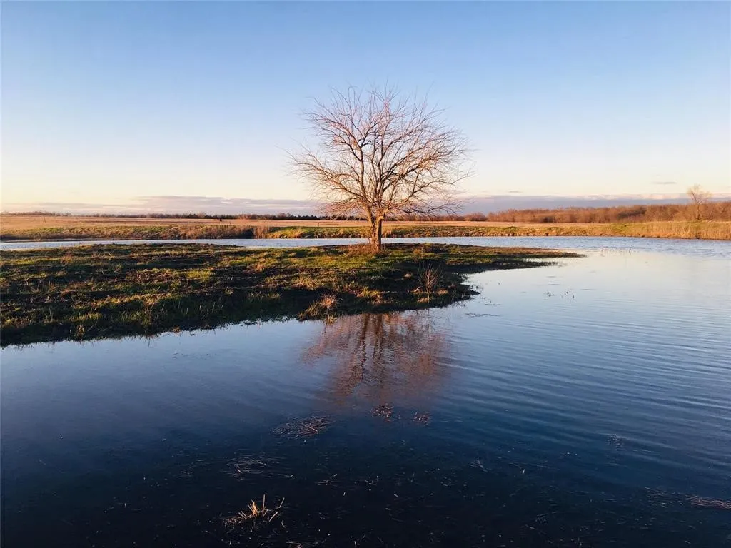 Improved Land For Sale in Hunt County , TBD CO RD 4518, Wolfe City, Texas 75496, 0, 0, Garage spaces, 0 Sqft, built in 0, mls#21247182, Real Estate Agent in Wolfe City, Homes For Sale in Hunt county, Homes For Sale in Wolfe City, Realtor in Wolfe City Texas, Real Estate Brokerage Independent Realty Texas, Luminita Cordes Realtor