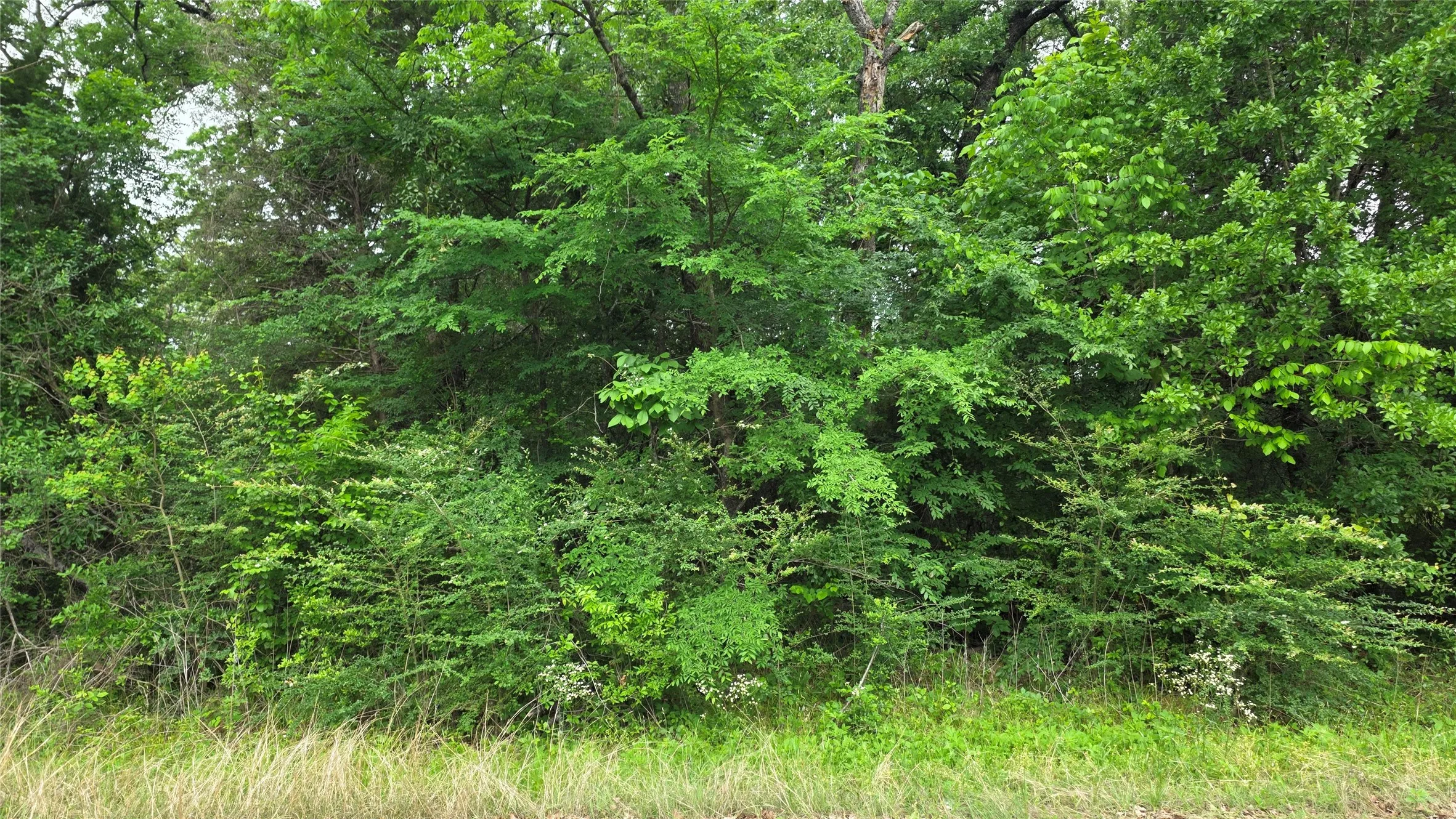 Unimproved Land For Sale in Henderson County , TBD Morning Dove Road, Trinidad, Texas 75163, 0, 0, Garage spaces, 0 Sqft, built in 0, Price $12,000, mls#21247292, Real Estate Agent in Trinidad, Homes For Sale in Henderson county, Homes For Sale in Trinidad, Realtor in Trinidad Texas, Real Estate Brokerage Independent Realty Texas, Luminita Cordes Realtor