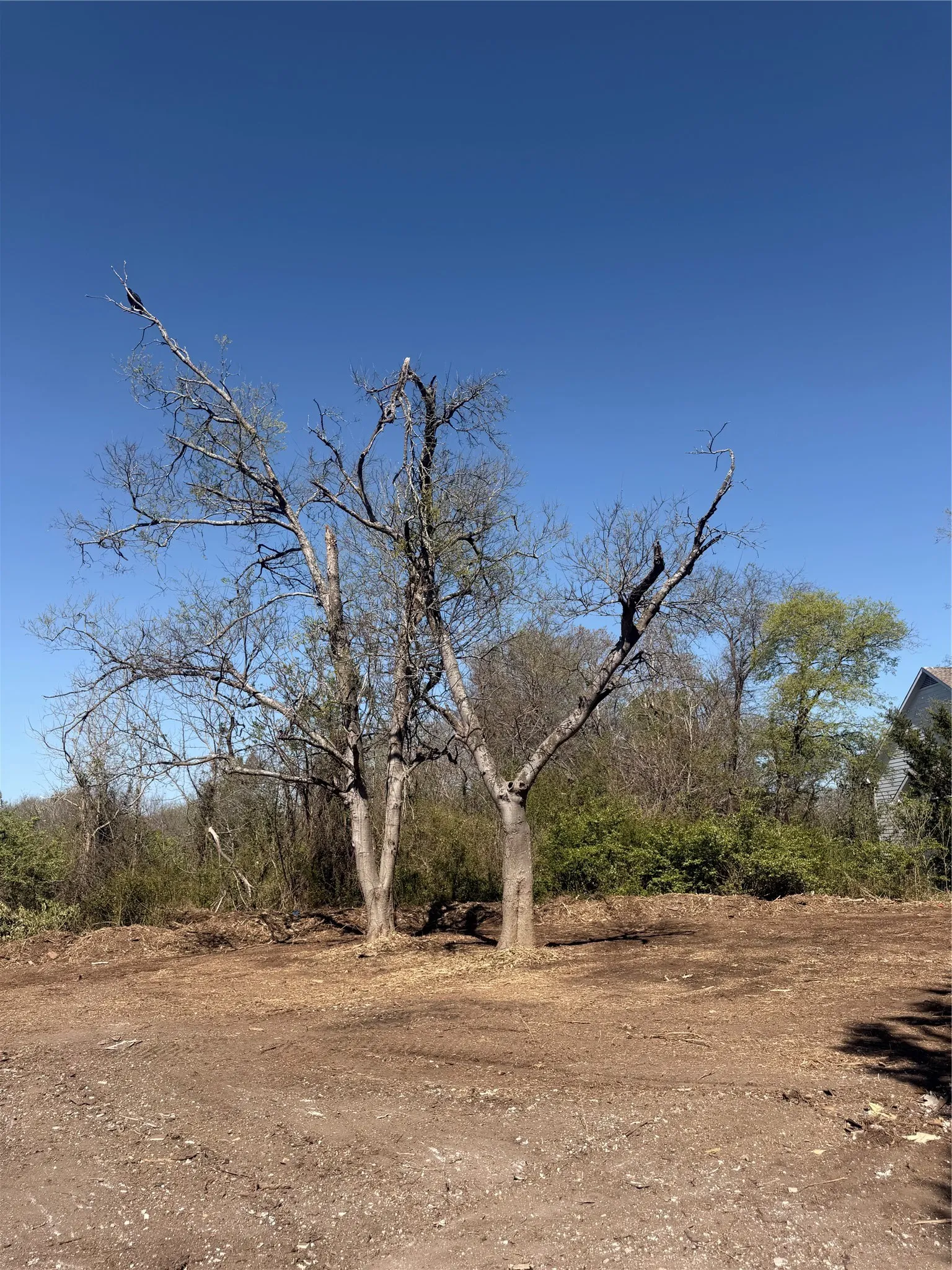 Unimproved Land For Sale in Ellis County , 118 Jim Street, Waxahachie, Texas 75165, 0, 0, Garage spaces, 0 Sqft, built in 1900, mls#21245906, Real Estate Agent in Waxahachie, Homes For Sale in Ellis county, Homes For Sale in Waxahachie, Realtor in Waxahachie Texas, Real Estate Brokerage Independent Realty Texas, Luminita Cordes Realtor