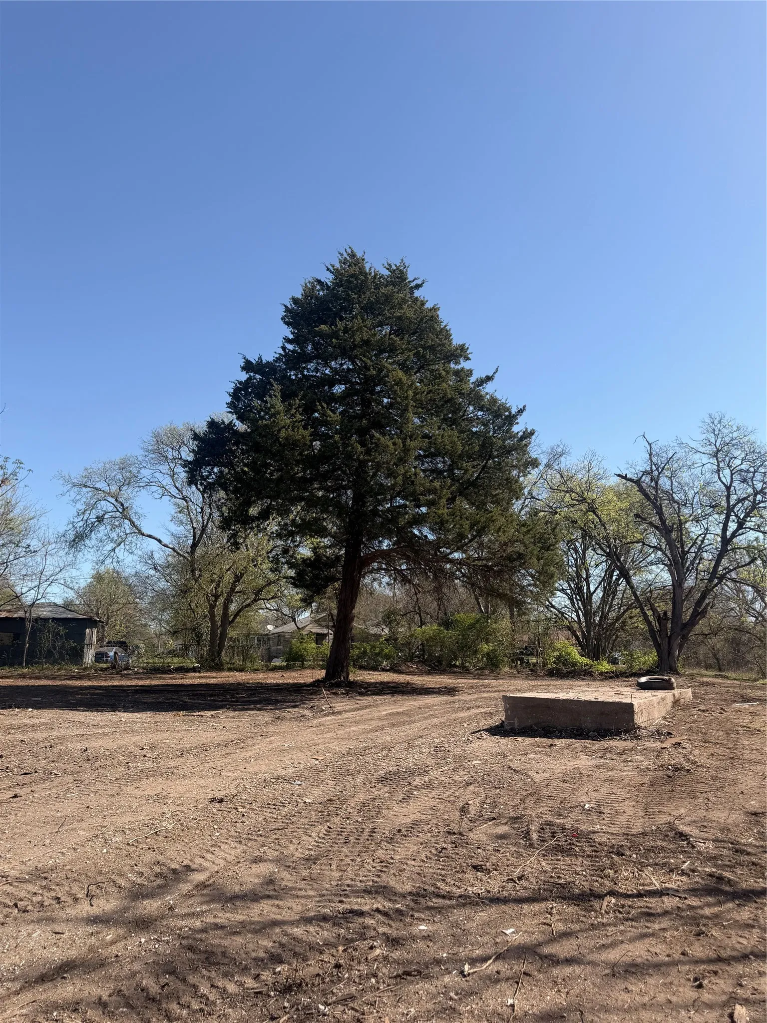 Unimproved Land For Sale in Ellis County , 118 Jim Street, Waxahachie, Texas 75165, 0, 0, Garage spaces, 0 Sqft, built in 1900, mls#21245906, Real Estate Agent in Waxahachie, Homes For Sale in Ellis county, Homes For Sale in Waxahachie, Realtor in Waxahachie Texas, Real Estate Brokerage Independent Realty Texas, Luminita Cordes Realtor