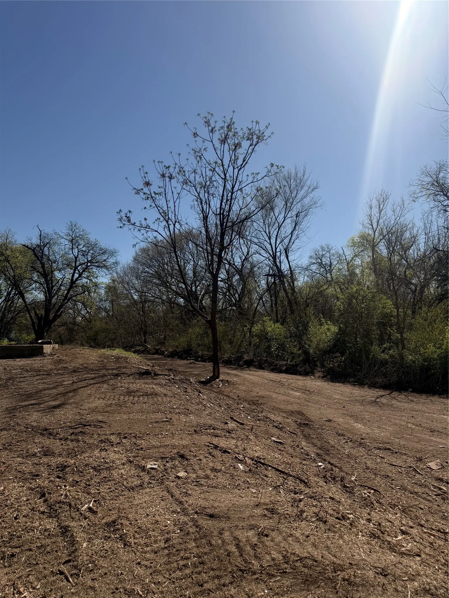 Unimproved Land For Sale in Ellis County , 118 Jim Street, Waxahachie, Texas 75165, 0, 0, Garage spaces, 0 Sqft, built in 1900, mls#21245906, Real Estate Agent in Waxahachie, Homes For Sale in Ellis county, Homes For Sale in Waxahachie, Realtor in Waxahachie Texas, Real Estate Brokerage Independent Realty Texas, Luminita Cordes Realtor