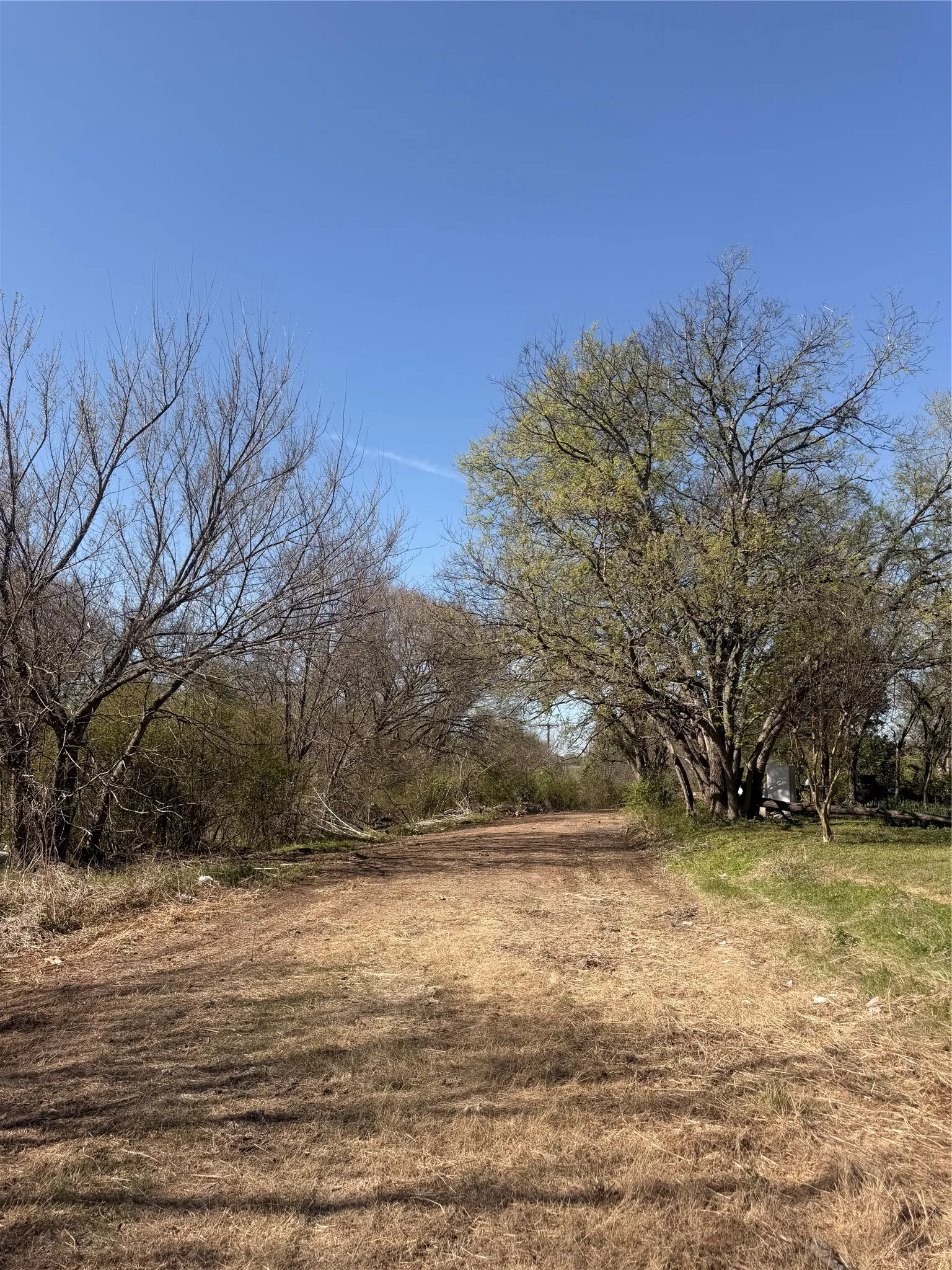 Unimproved Land For Sale in Ellis County , 118 Jim Street, Waxahachie, Texas 75165, 0, 0, Garage spaces, 0 Sqft, built in 1900, mls#21245906, Real Estate Agent in Waxahachie, Homes For Sale in Ellis county, Homes For Sale in Waxahachie, Realtor in Waxahachie Texas, Real Estate Brokerage Independent Realty Texas, Luminita Cordes Realtor