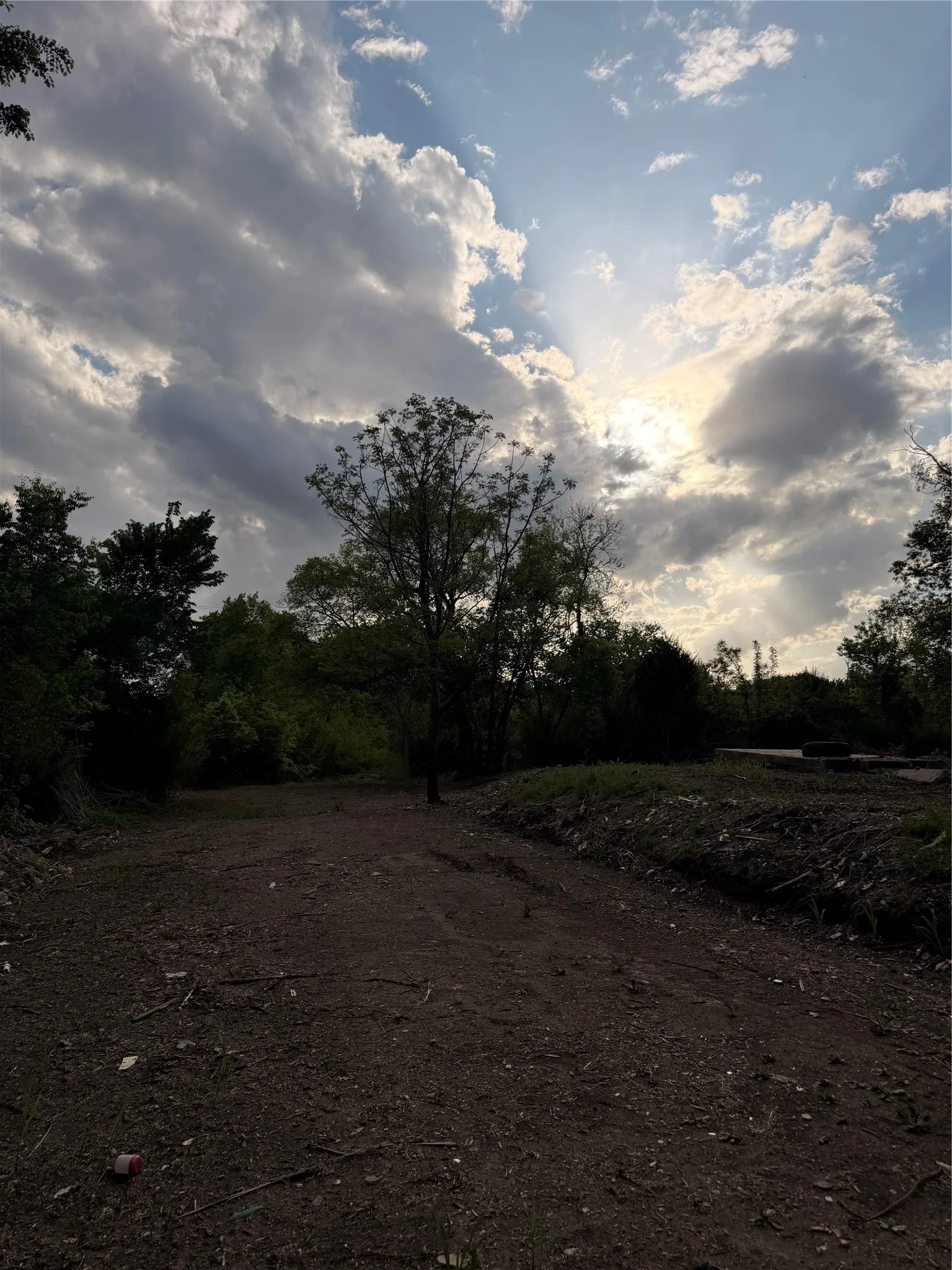 Unimproved Land For Sale in Ellis County , 118 Jim Street, Waxahachie, Texas 75165, 0, 0, Garage spaces, 0 Sqft, built in 1900, mls#21245906, Real Estate Agent in Waxahachie, Homes For Sale in Ellis county, Homes For Sale in Waxahachie, Realtor in Waxahachie Texas, Real Estate Brokerage Independent Realty Texas, Luminita Cordes Realtor