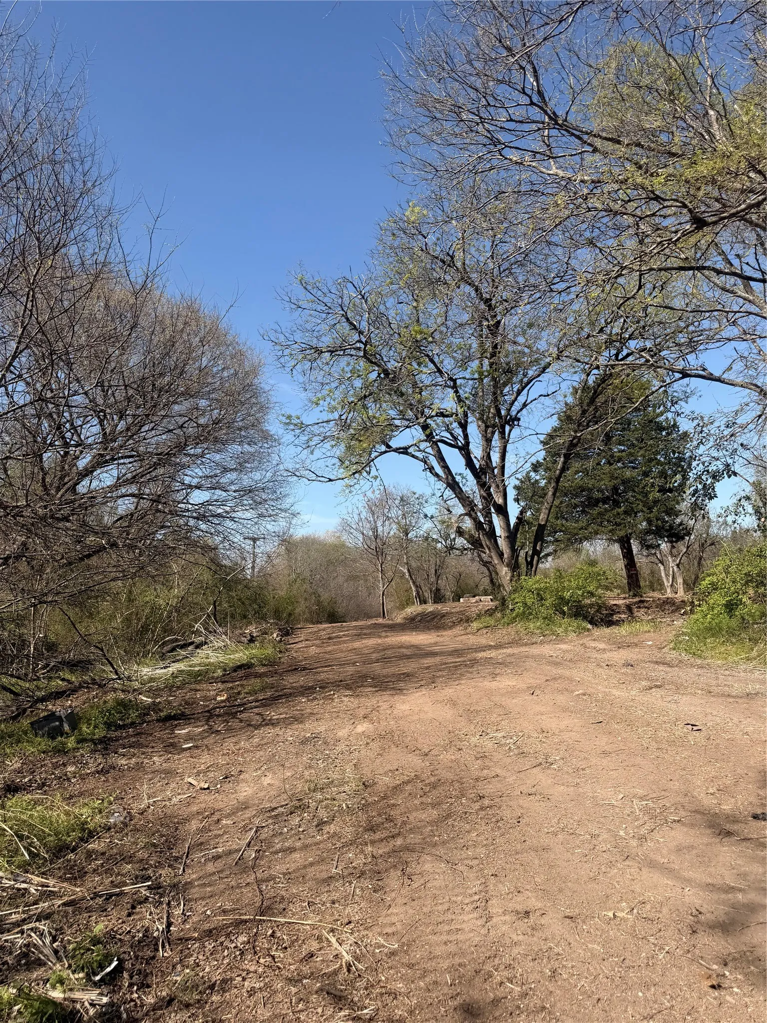 Unimproved Land For Sale in Ellis County , 118 Jim Street, Waxahachie, Texas 75165, 0, 0, Garage spaces, 0 Sqft, built in 1900, mls#21245906, Real Estate Agent in Waxahachie, Homes For Sale in Ellis county, Homes For Sale in Waxahachie, Realtor in Waxahachie Texas, Real Estate Brokerage Independent Realty Texas, Luminita Cordes Realtor