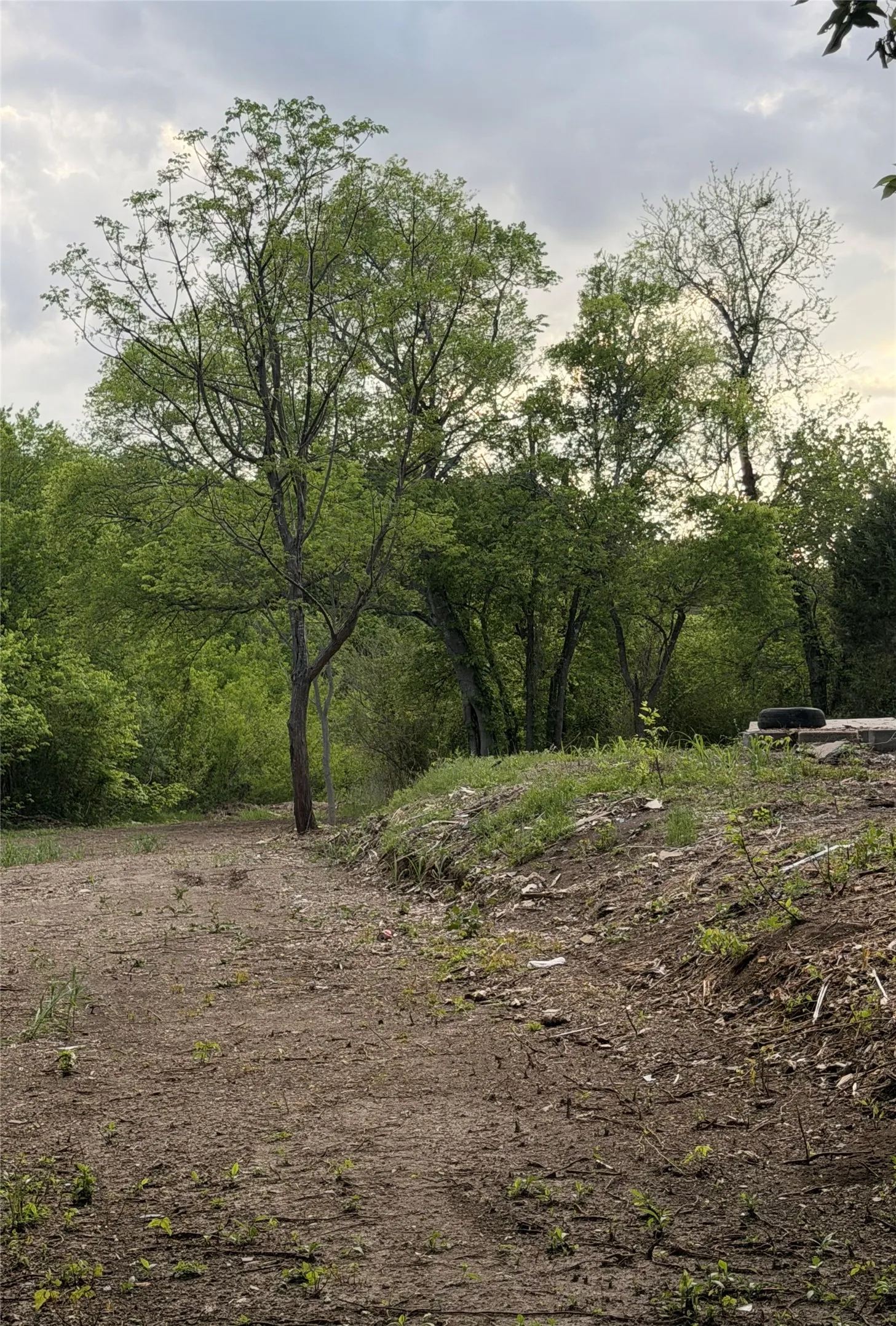 Unimproved Land For Sale in Ellis County , 118 Jim Street, Waxahachie, Texas 75165, 0, 0, Garage spaces, 0 Sqft, built in 1900, mls#21245906, Real Estate Agent in Waxahachie, Homes For Sale in Ellis county, Homes For Sale in Waxahachie, Realtor in Waxahachie Texas, Real Estate Brokerage Independent Realty Texas, Luminita Cordes Realtor