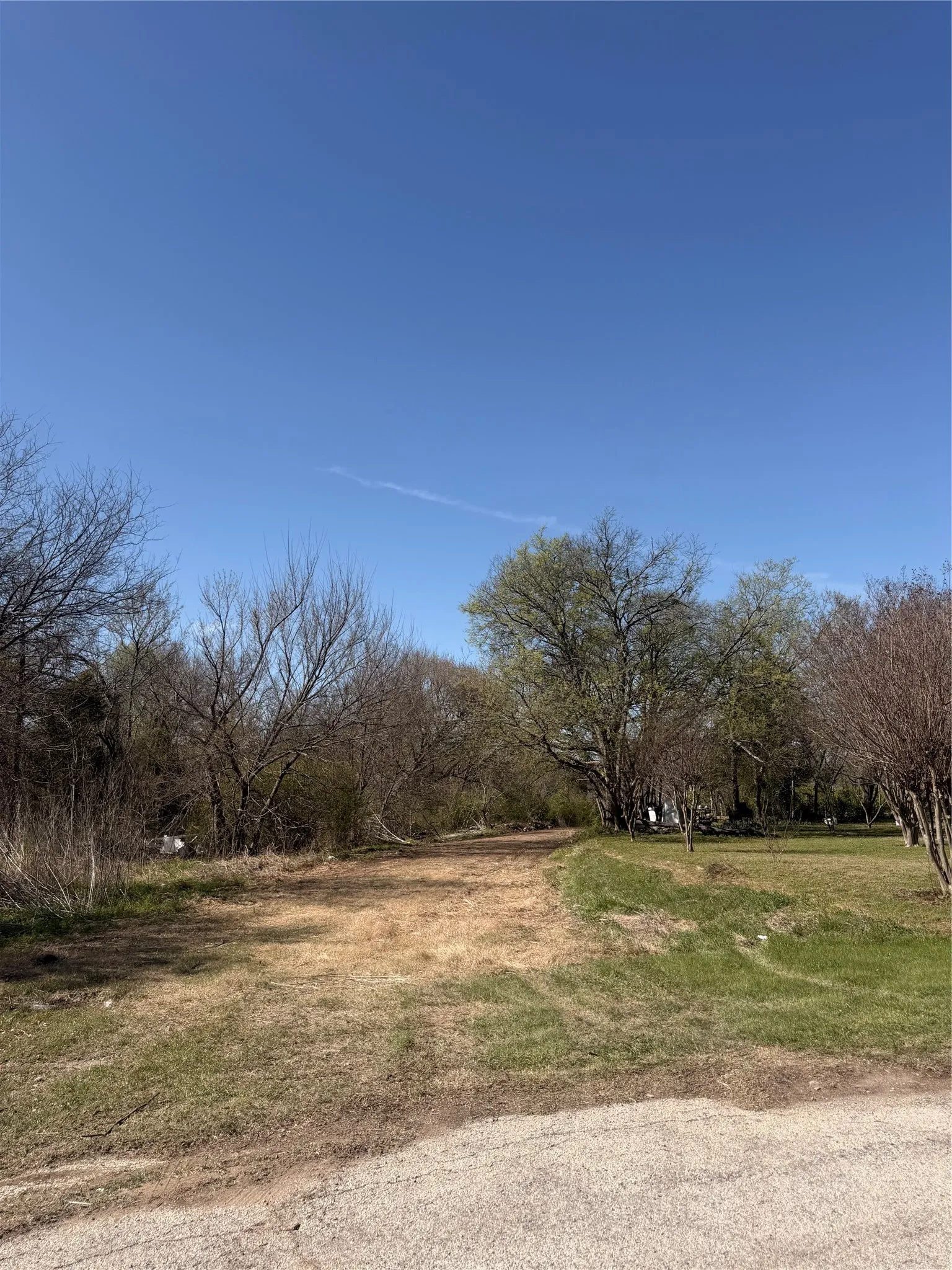 Unimproved Land For Sale in Ellis County , 118 Jim Street, Waxahachie, Texas 75165, 0, 0, Garage spaces, 0 Sqft, built in 1900, mls#21245906, Real Estate Agent in Waxahachie, Homes For Sale in Ellis county, Homes For Sale in Waxahachie, Realtor in Waxahachie Texas, Real Estate Brokerage Independent Realty Texas, Luminita Cordes Realtor