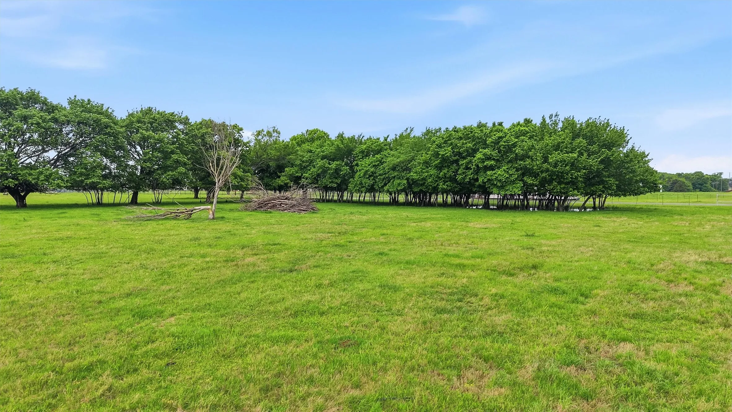 Unimproved Land For Sale in Grayson County , 10.5 Graham Grove Road, Collinsville, Texas 76233, 0, 0, Garage spaces, 0 Sqft, built in 0, mls#21247322, Real Estate Agent in Collinsville, Homes For Sale in Grayson county, Homes For Sale in Collinsville, Realtor in Collinsville Texas, Real Estate Brokerage Independent Realty Texas, Luminita Cordes Realtor