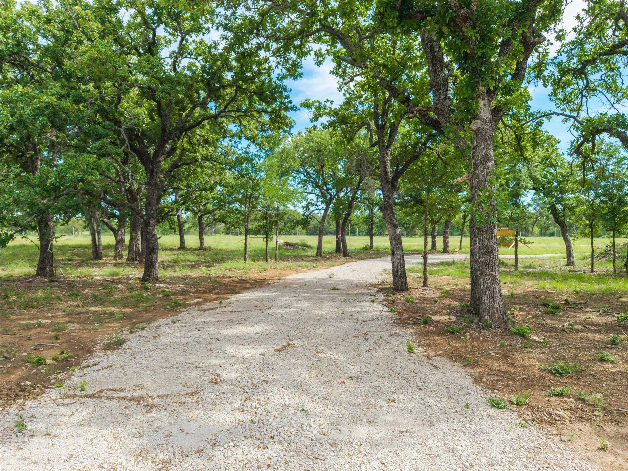 Unimproved Land For Sale in Brown County , TBD Farm to Market 3021, Brownwood, Texas 76801, 0, 0, Garage spaces, 0 Sqft, built in 0, Price $34,900, mls#21247332, Real Estate Agent in Brownwood, Homes For Sale in Brown county, Homes For Sale in Brownwood, Realtor in Brownwood Texas, Real Estate Brokerage Independent Realty Texas, Luminita Cordes Realtor