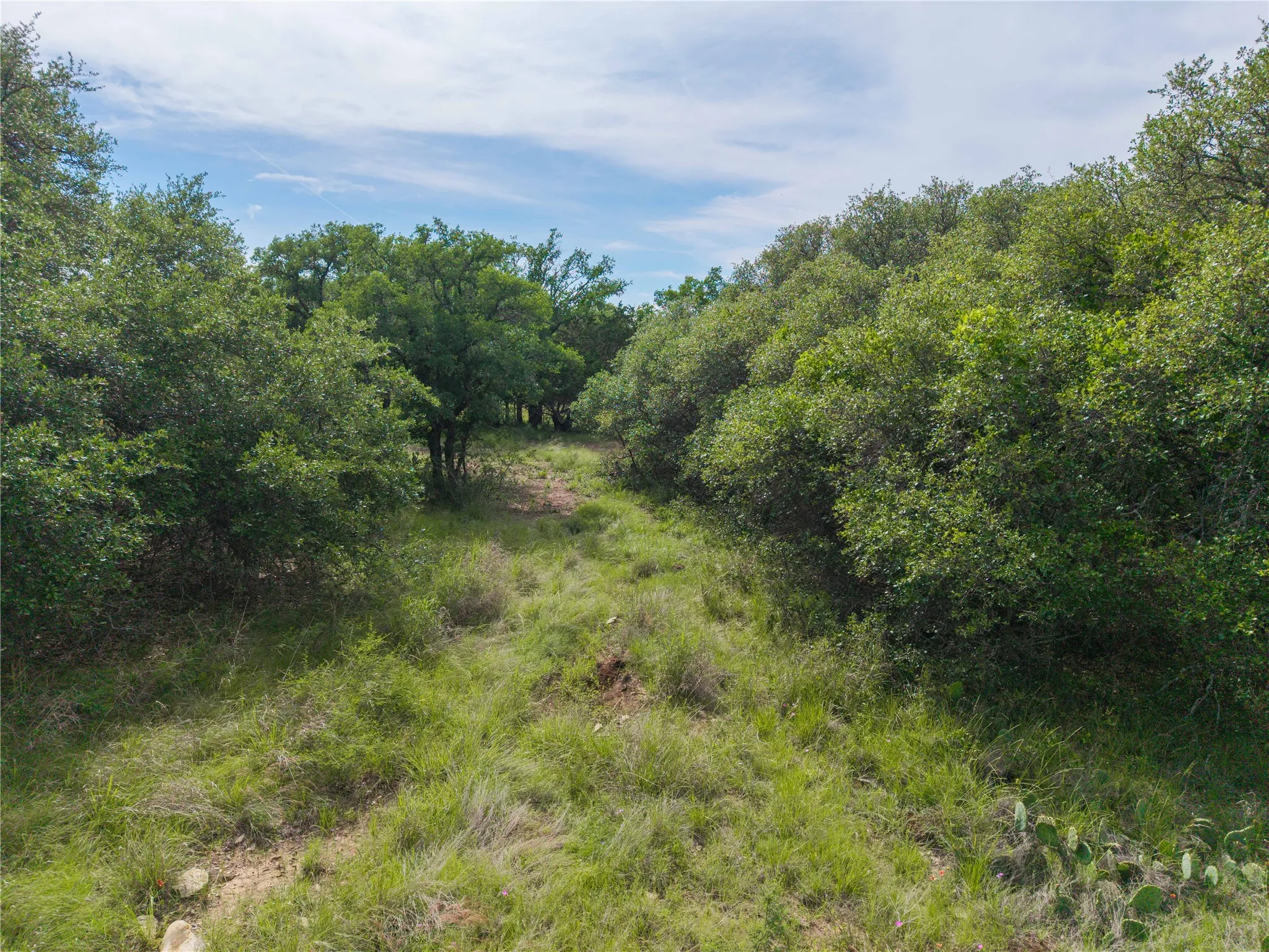 Unimproved Land For Sale in Brown County , TBD Farm to Market 3021, Brownwood, Texas 76801, 0, 0, Garage spaces, 0 Sqft, built in 0, Price $34,900, mls#21247332, Real Estate Agent in Brownwood, Homes For Sale in Brown county, Homes For Sale in Brownwood, Realtor in Brownwood Texas, Real Estate Brokerage Independent Realty Texas, Luminita Cordes Realtor