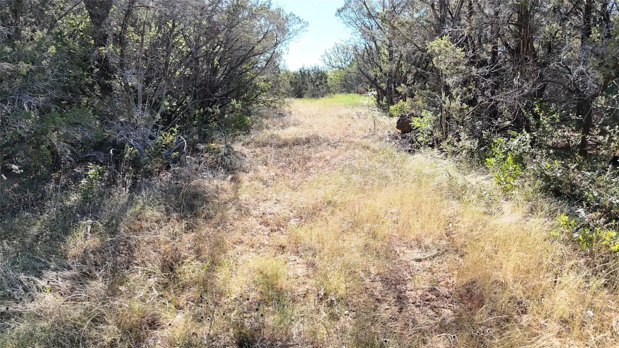Unimproved Land For Sale in Palo Pinto County , Lot 110 Davenport Road, Palo Pinto, Texas 76484, 0, 0, Garage spaces, 0 Sqft, built in 0, Price $205,000, mls#21247338, Real Estate Agent in Palo Pinto, Homes For Sale in Palo Pinto county, Homes For Sale in Palo Pinto, Realtor in Palo Pinto Texas, Real Estate Brokerage Independent Realty Texas, Luminita Cordes Realtor